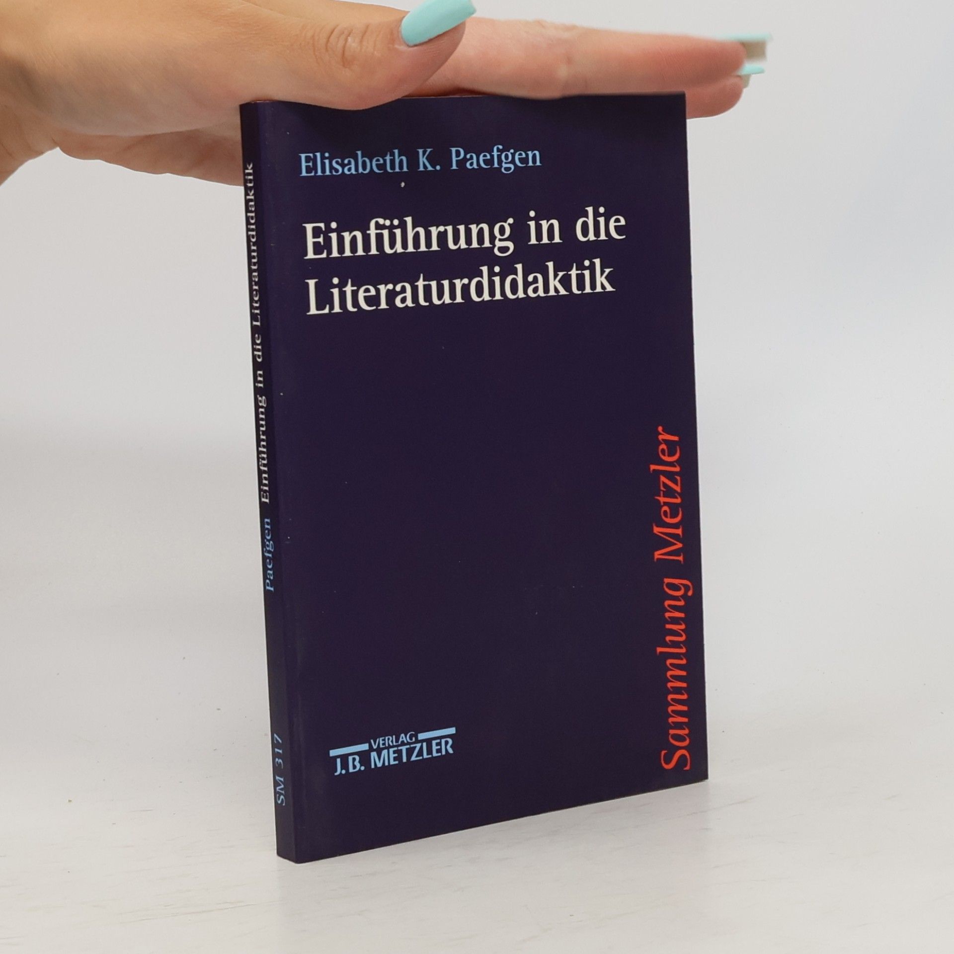 Elisabeth Katharina Paefgen Sammlung Metzler - 317: Einführung in die Literaturdidaktik