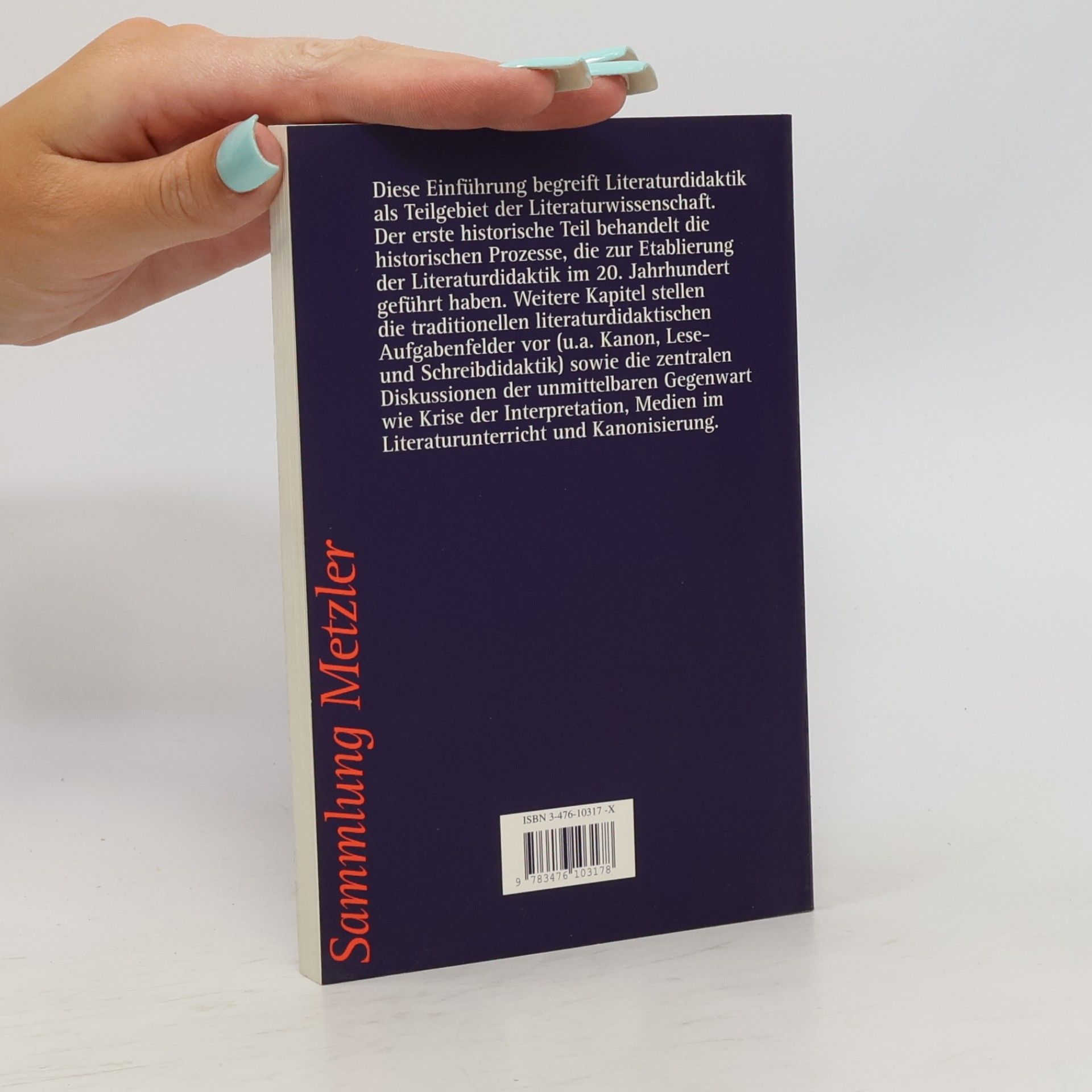 Elisabeth Katharina Paefgen Sammlung Metzler - 317: Einführung in die Literaturdidaktik