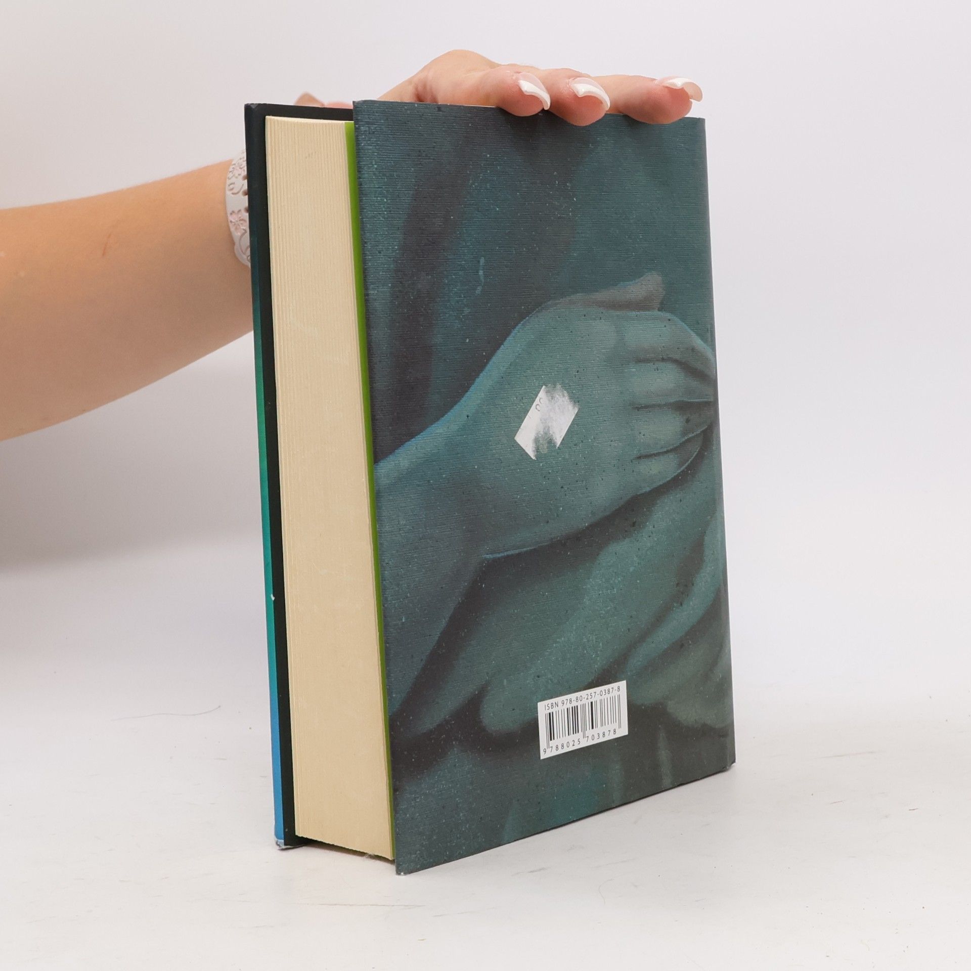 Audrey Niffenegger Její děsivá souměrnost
