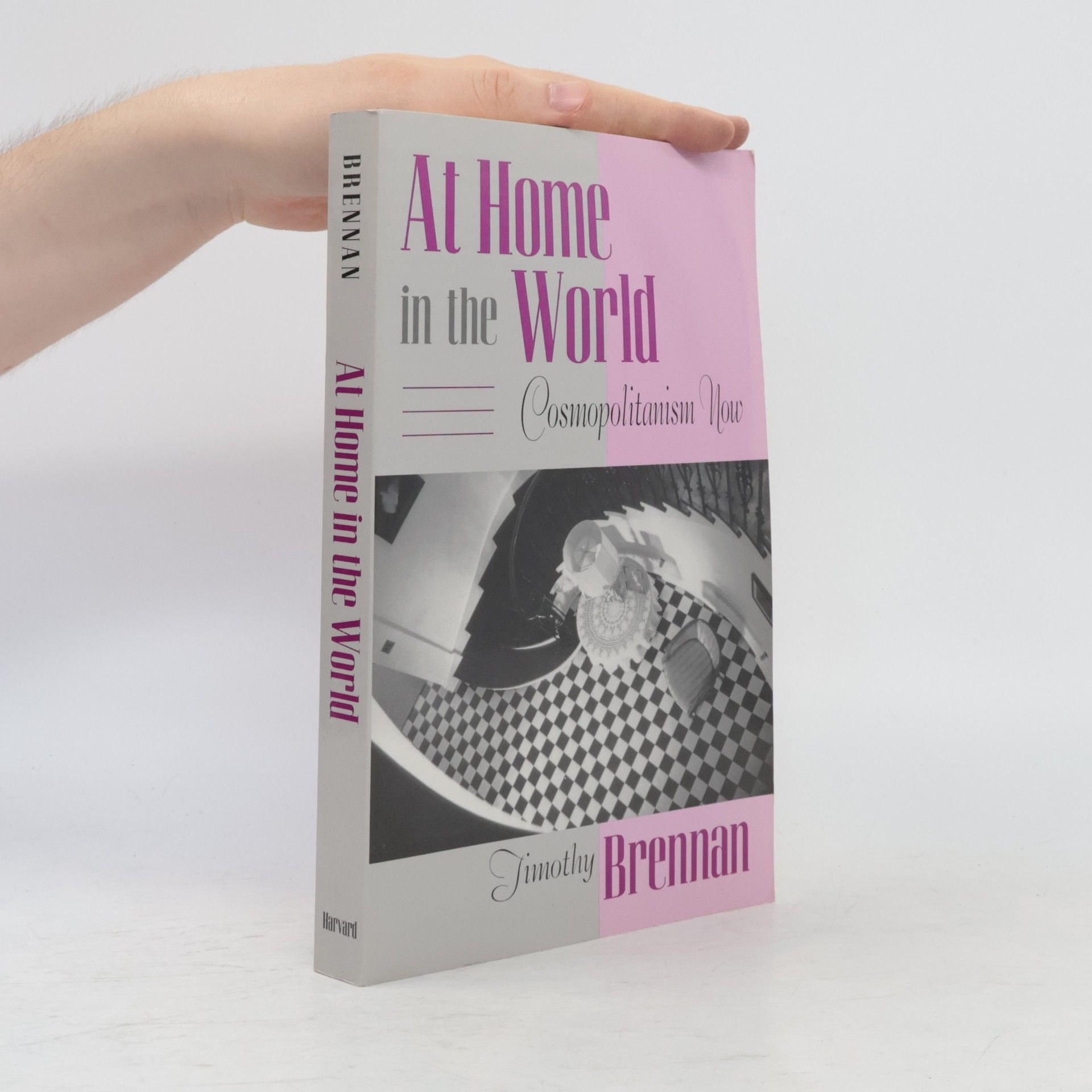 Timothy Brennan At Home in the World