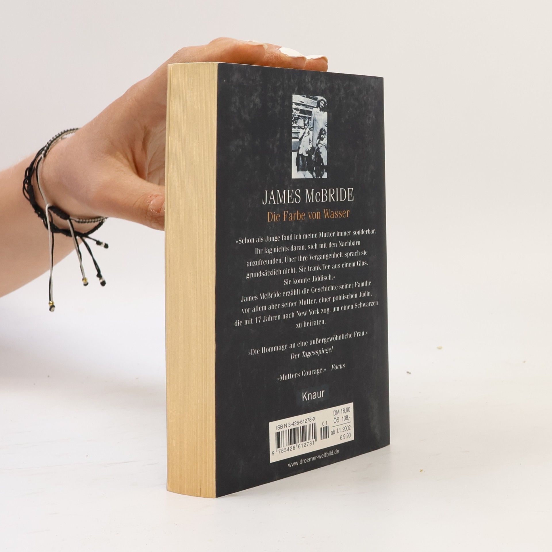 James McBride Die Farbe von Wasser