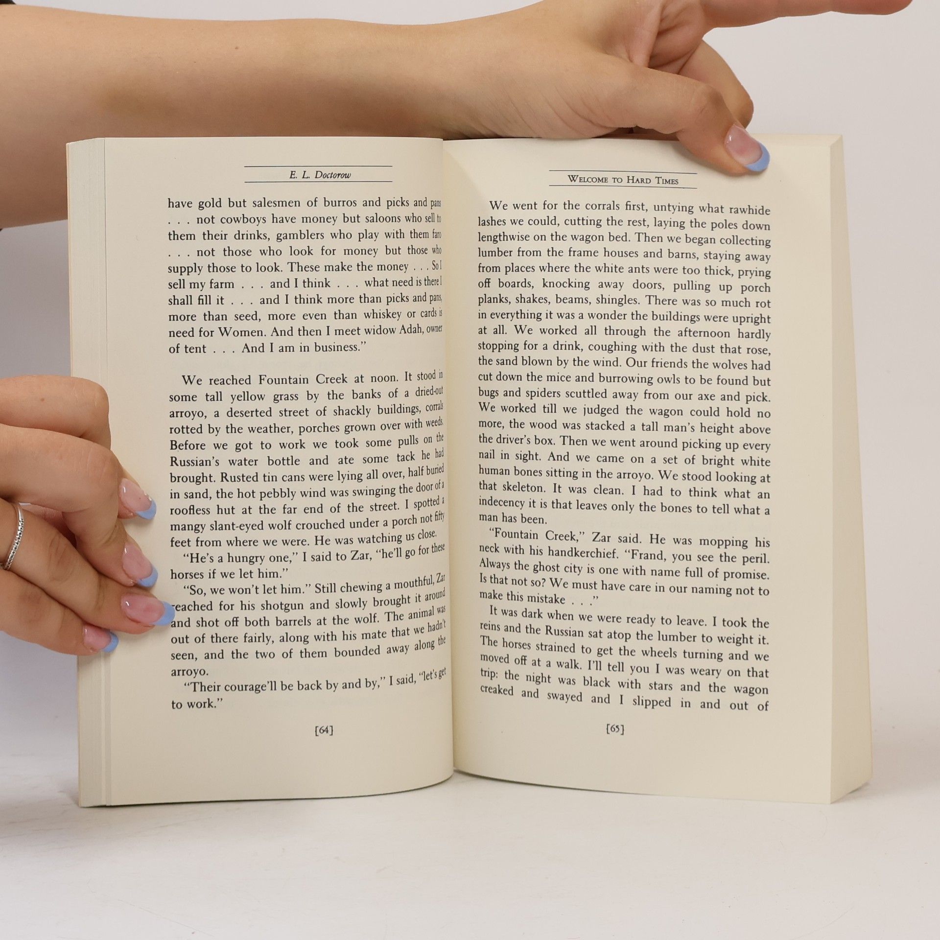 E. L. Doctorow Welcome to Hard Times