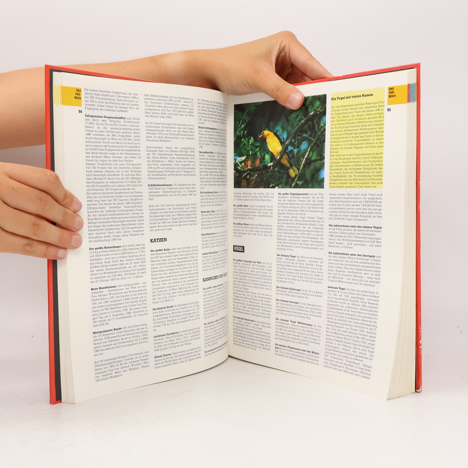 Das neue Guinness-Buch der Rekorde