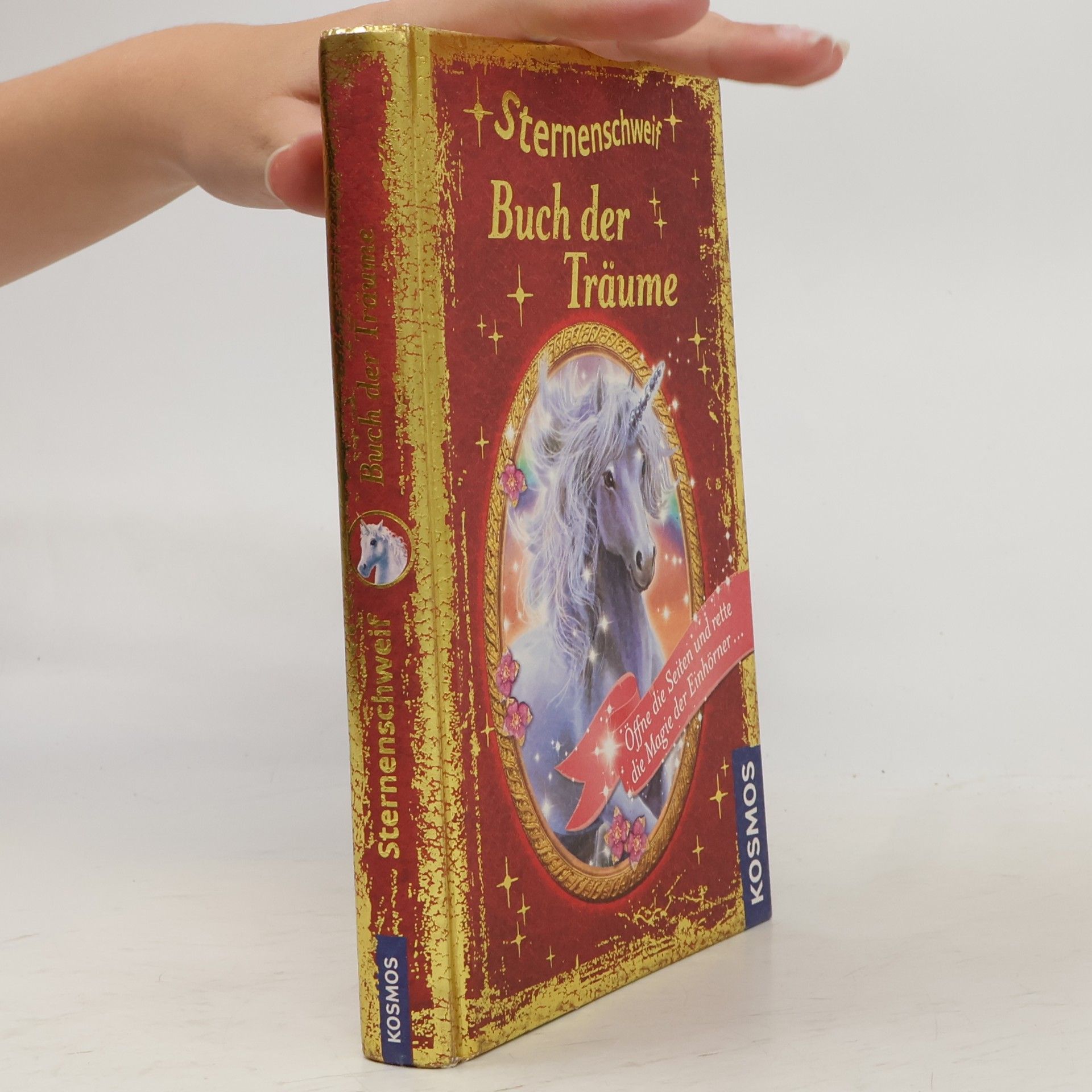 Linda Champan Sternenschweif - Buch der Träume