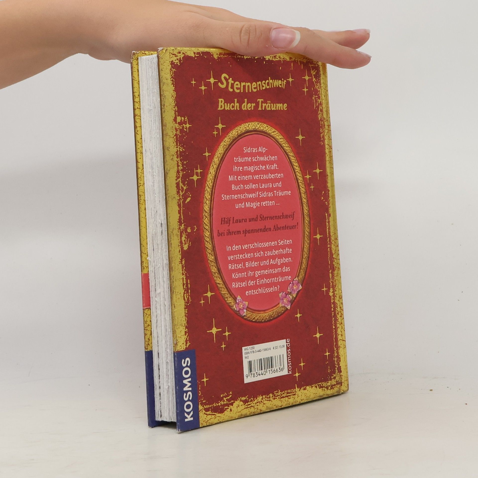 Linda Champan Sternenschweif - Buch der Träume