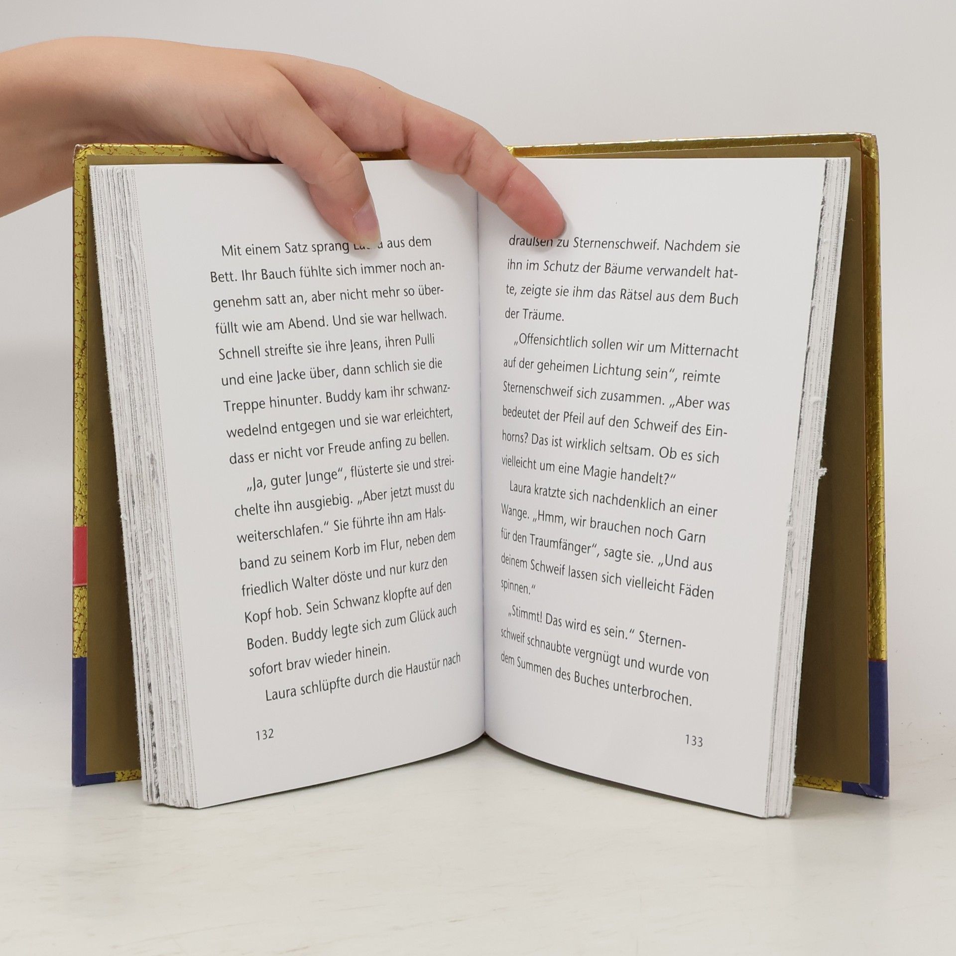 Linda Champan Sternenschweif - Buch der Träume