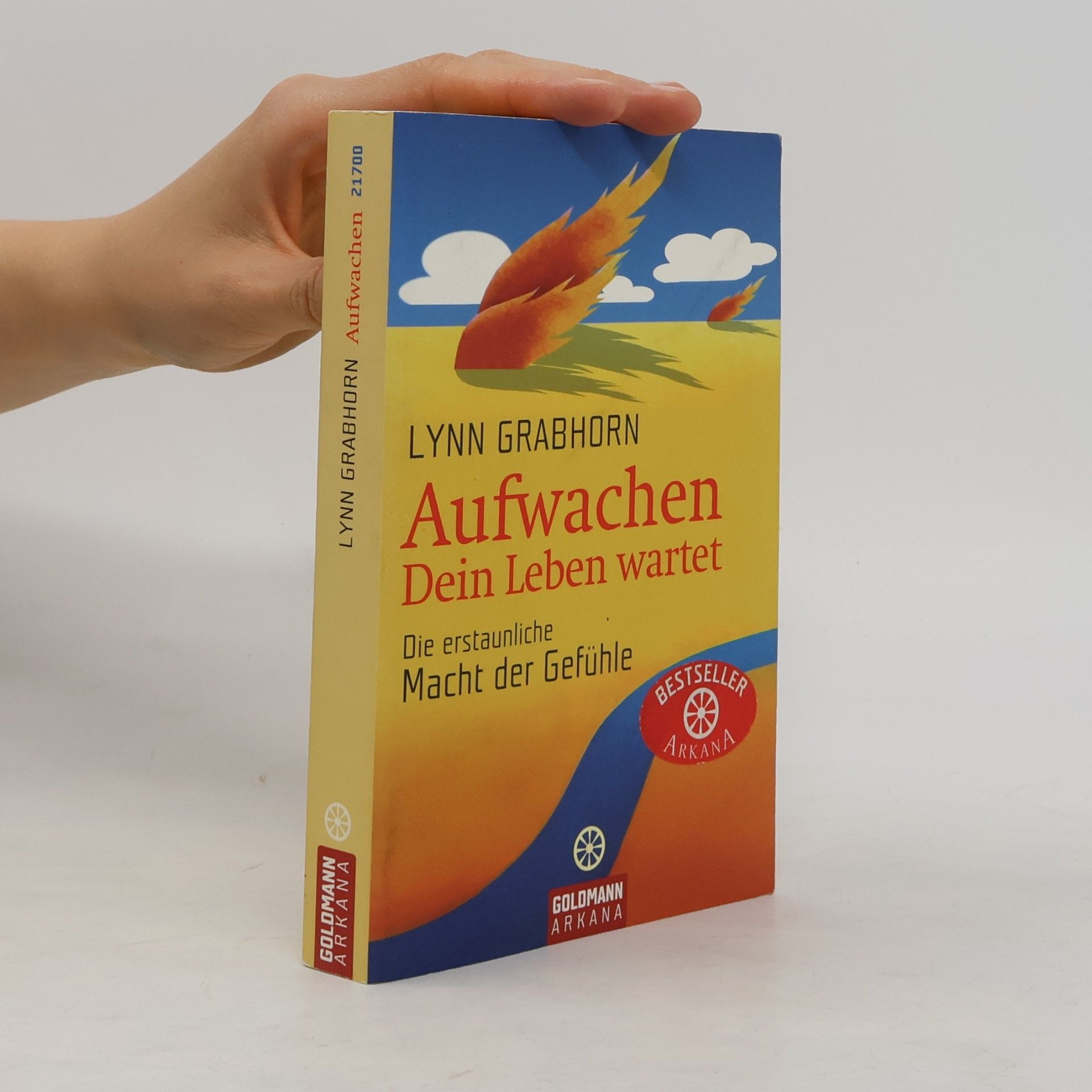 Lynn Grabhorn Aufwachen. Dein Leben wartet