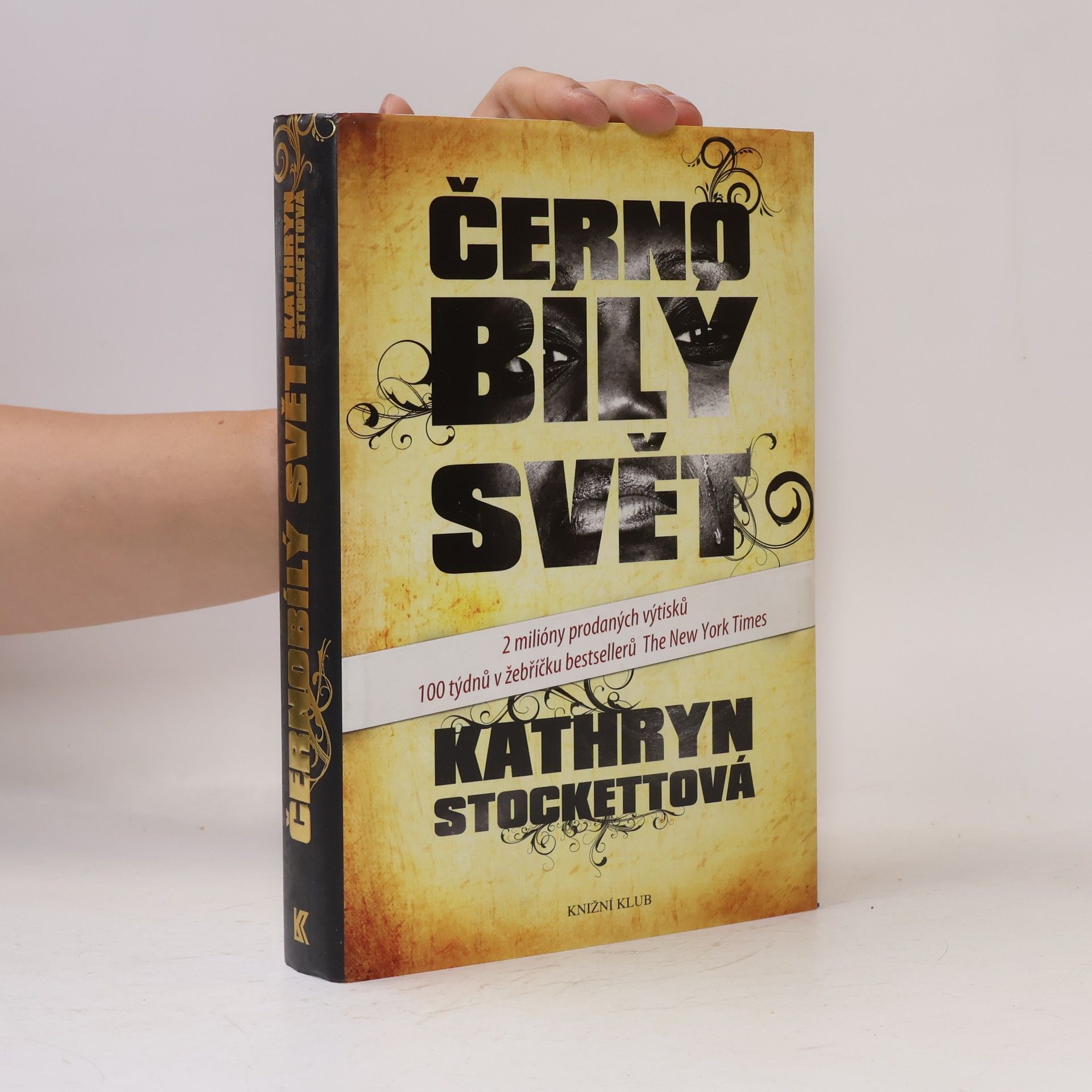 Kathryn Stockett Černobílý svět