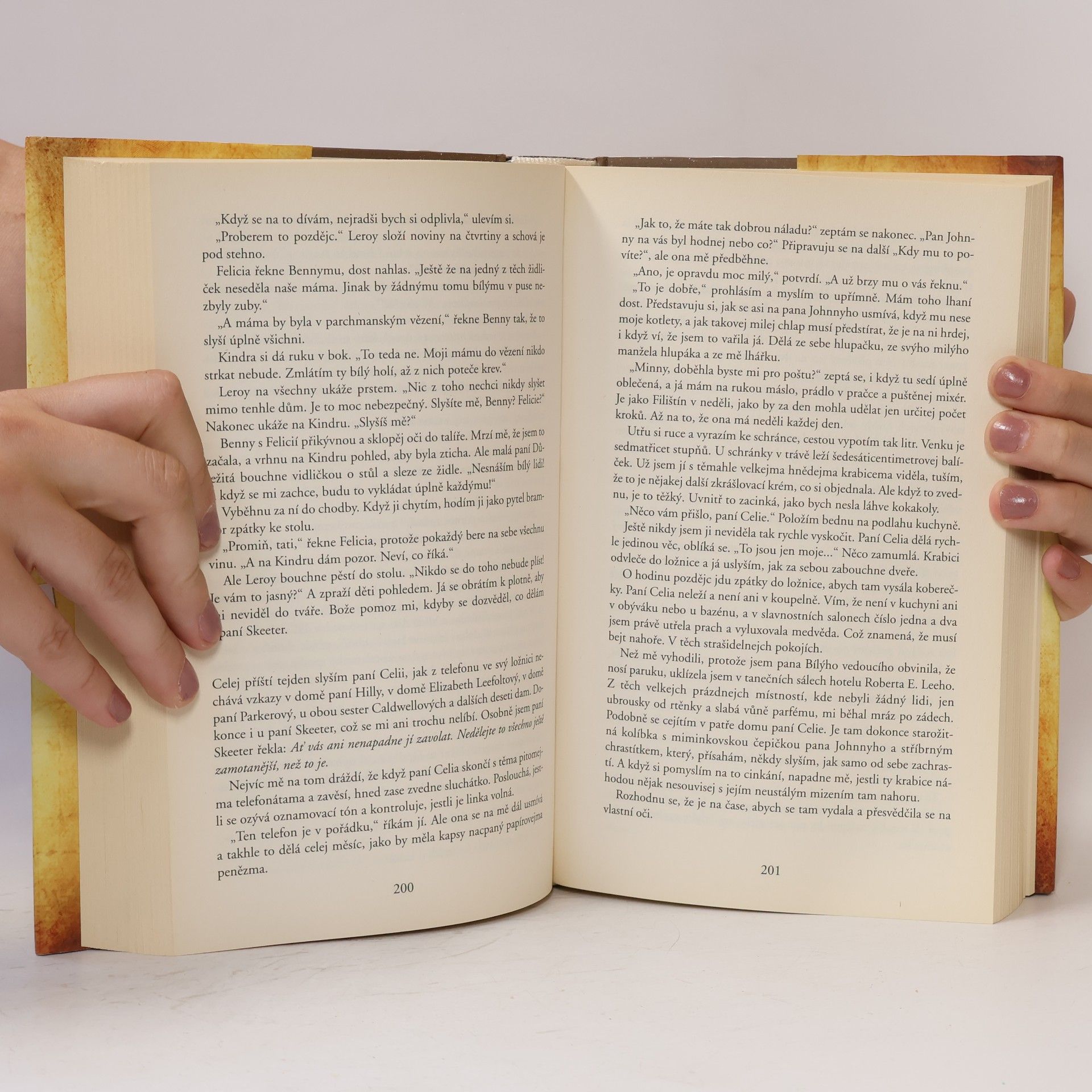 Kathryn Stockett Černobílý svět