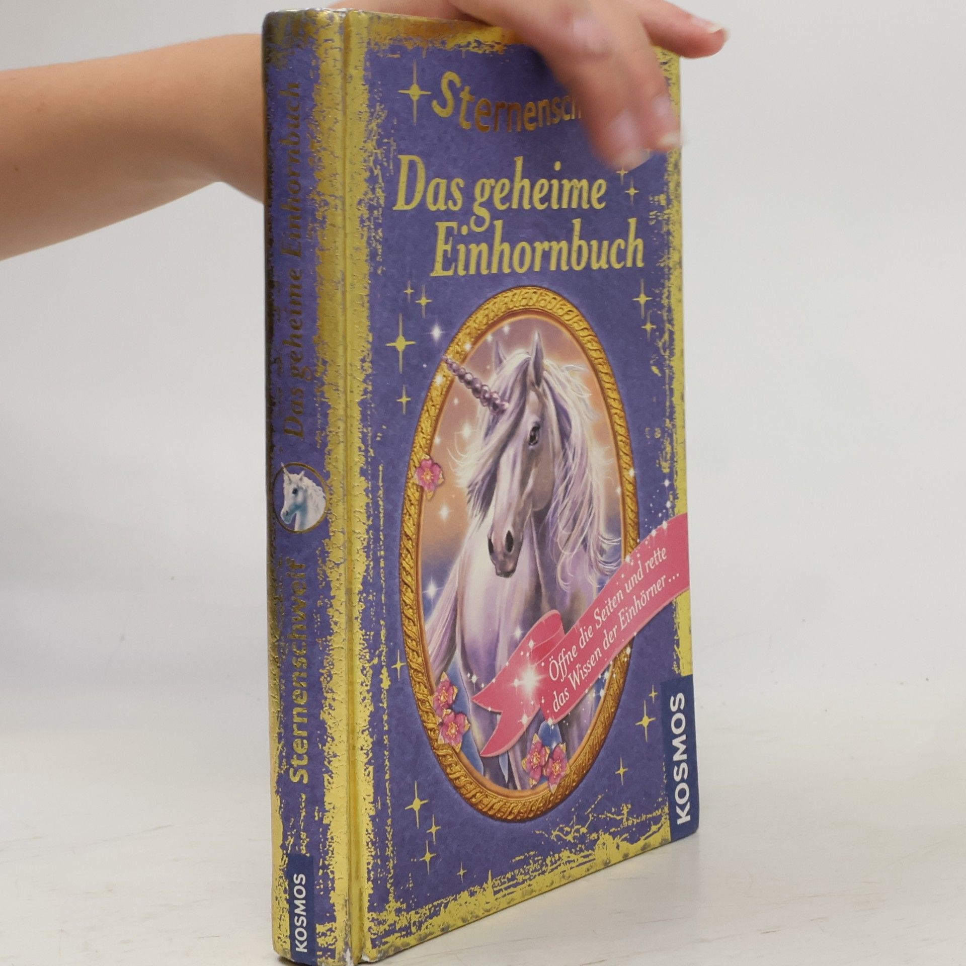 Anne Scheller Sternenschweif - das geheime Einhornbuch
