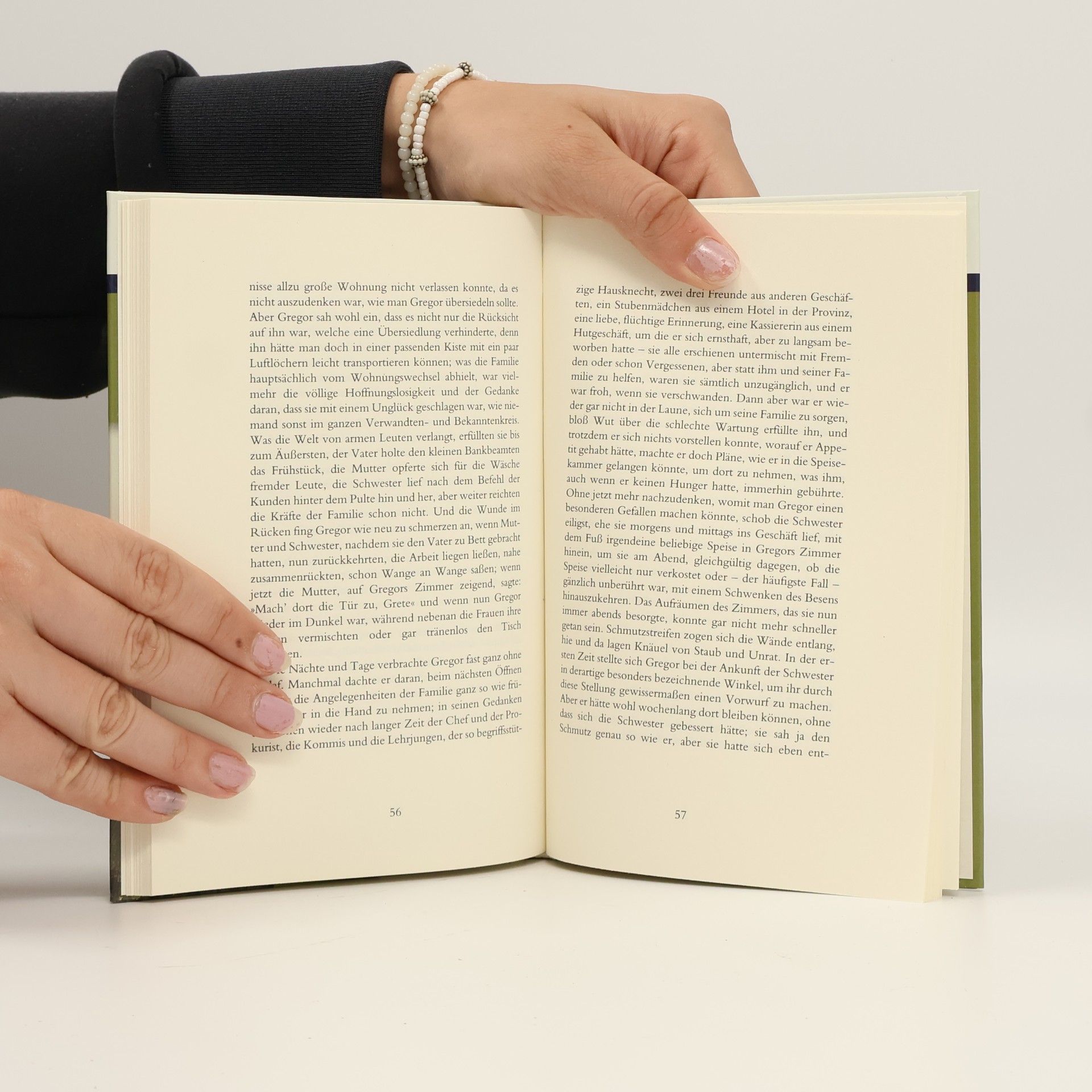 Franz Kafka Die Verwandlung