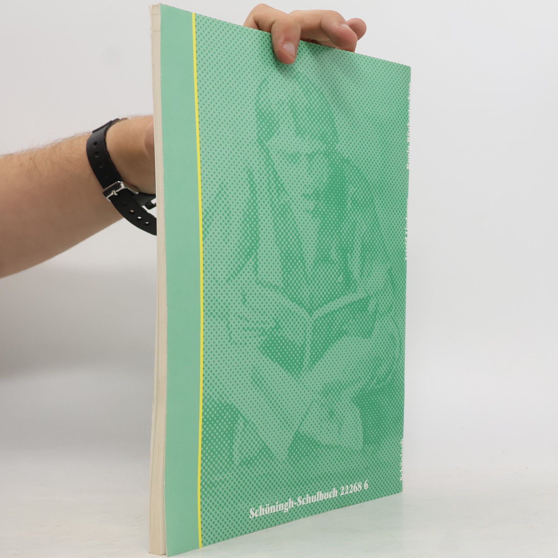 Astrid Lindgren Einfach Deutsch: Ronja Räubertochter