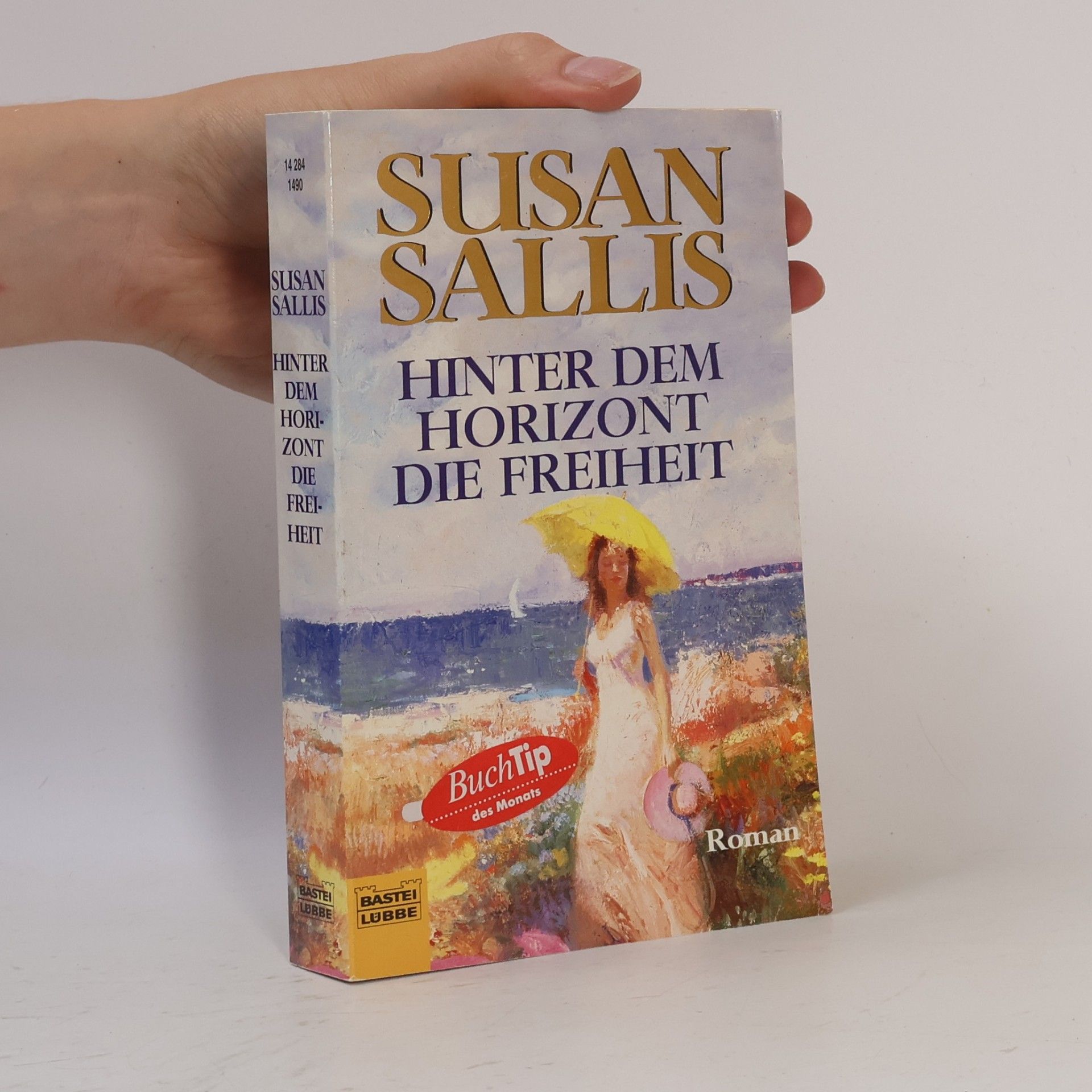 Susan Sallis Hinter dem Horizont die Freiheit. Roman. Aus d. Engl. v. Eva Malsch