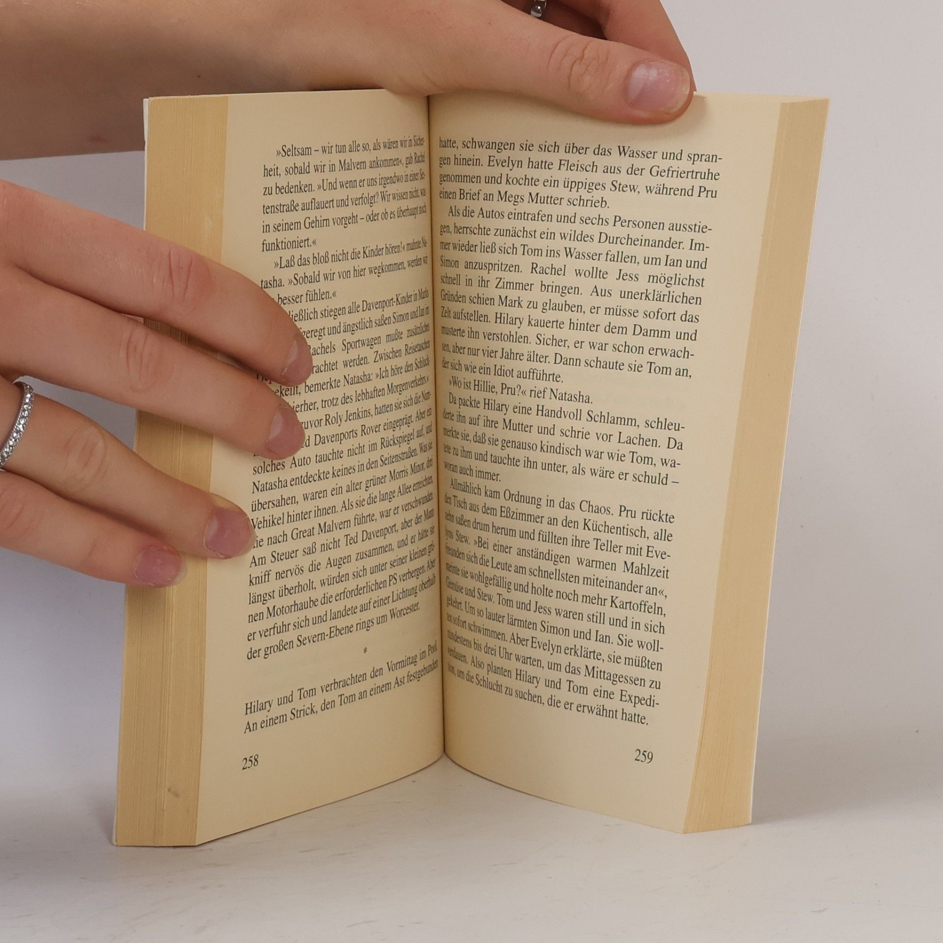 Susan Sallis Hinter dem Horizont die Freiheit. Roman. Aus d. Engl. v. Eva Malsch