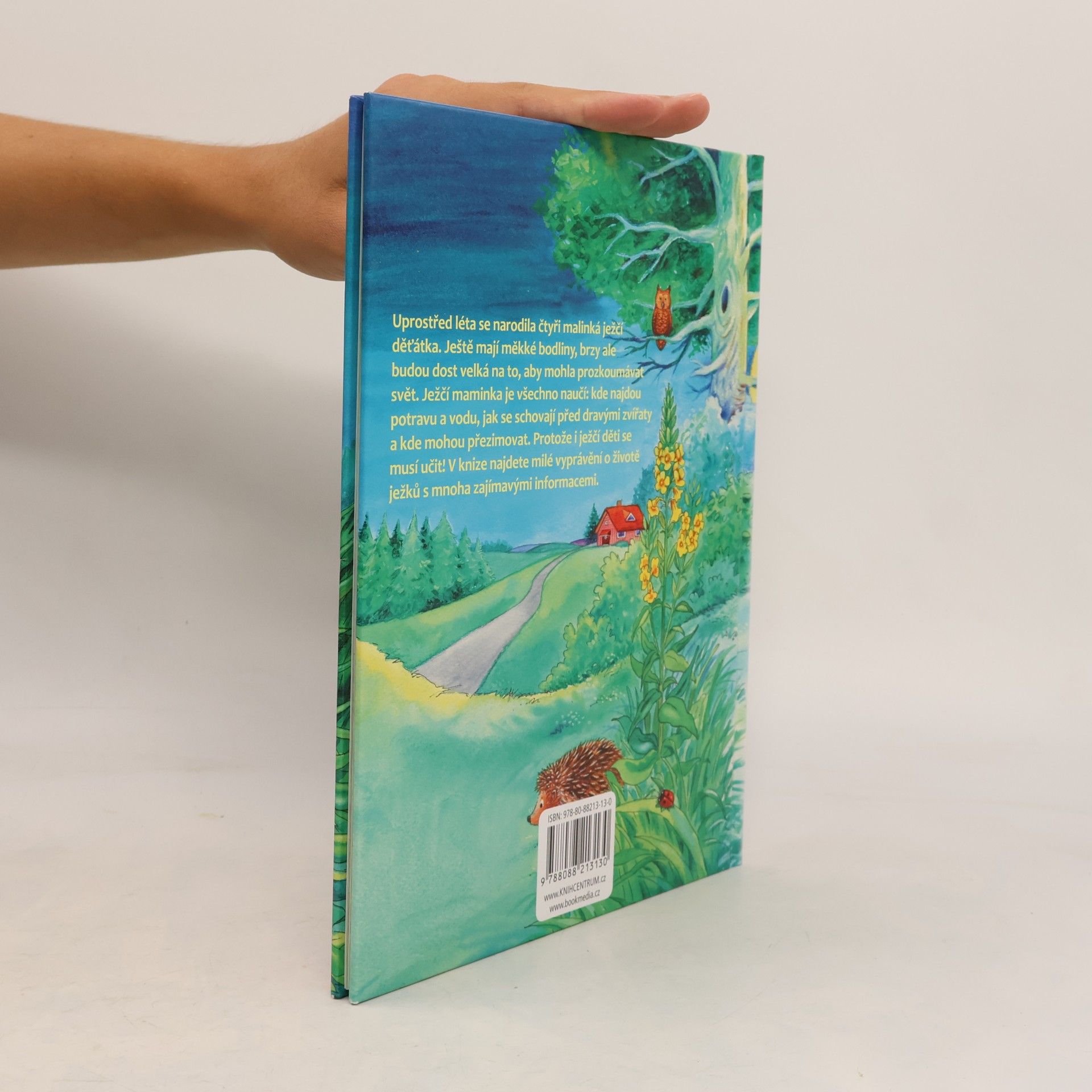 Friederun Reichenstetter Ježci. Jak vyrůstají a žijí?