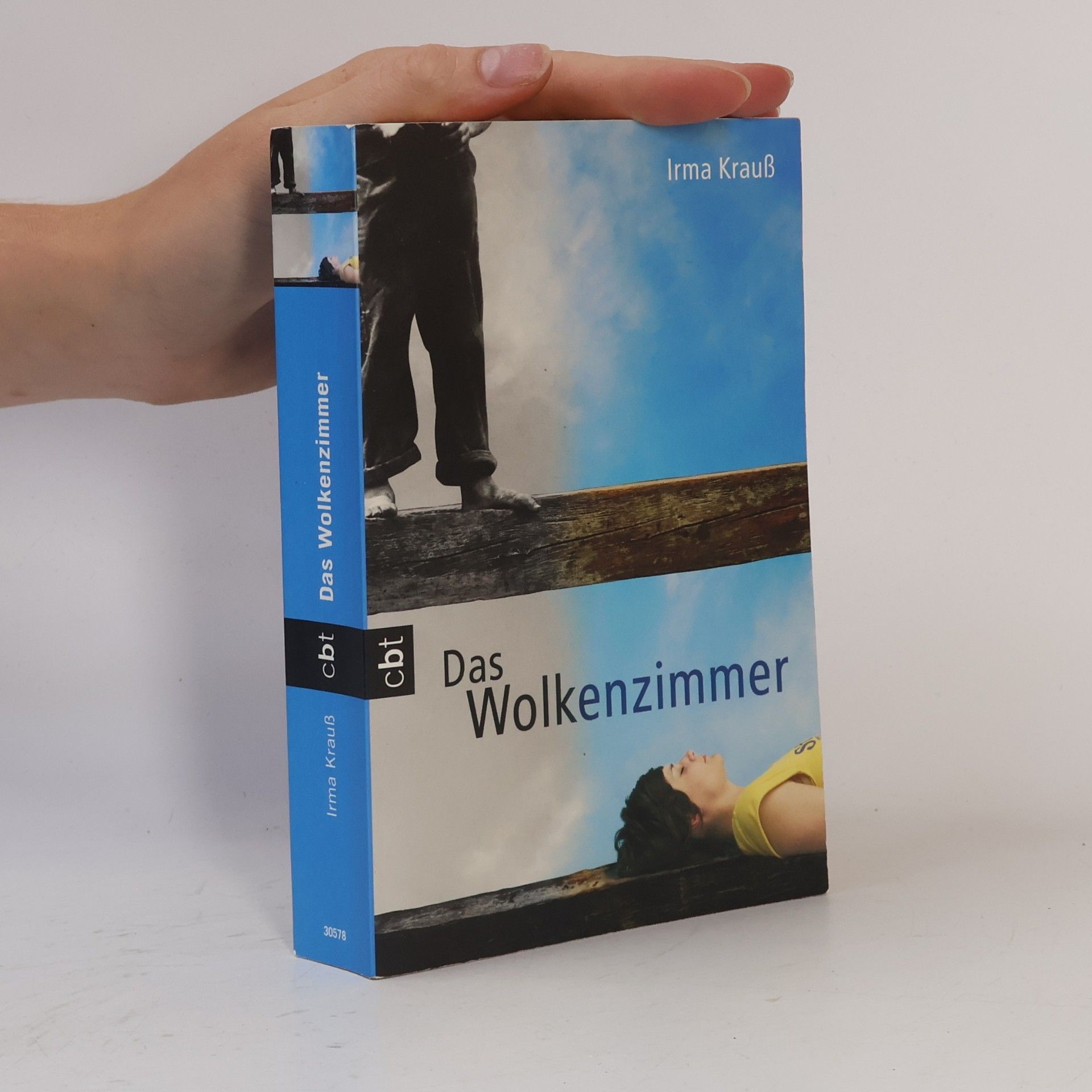 Irma Krauß Das Wolkenzimmer