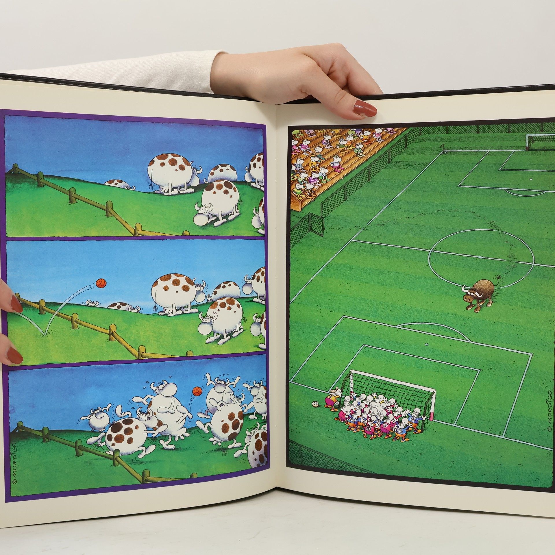 Guillermo Mordillo Mordillo Football