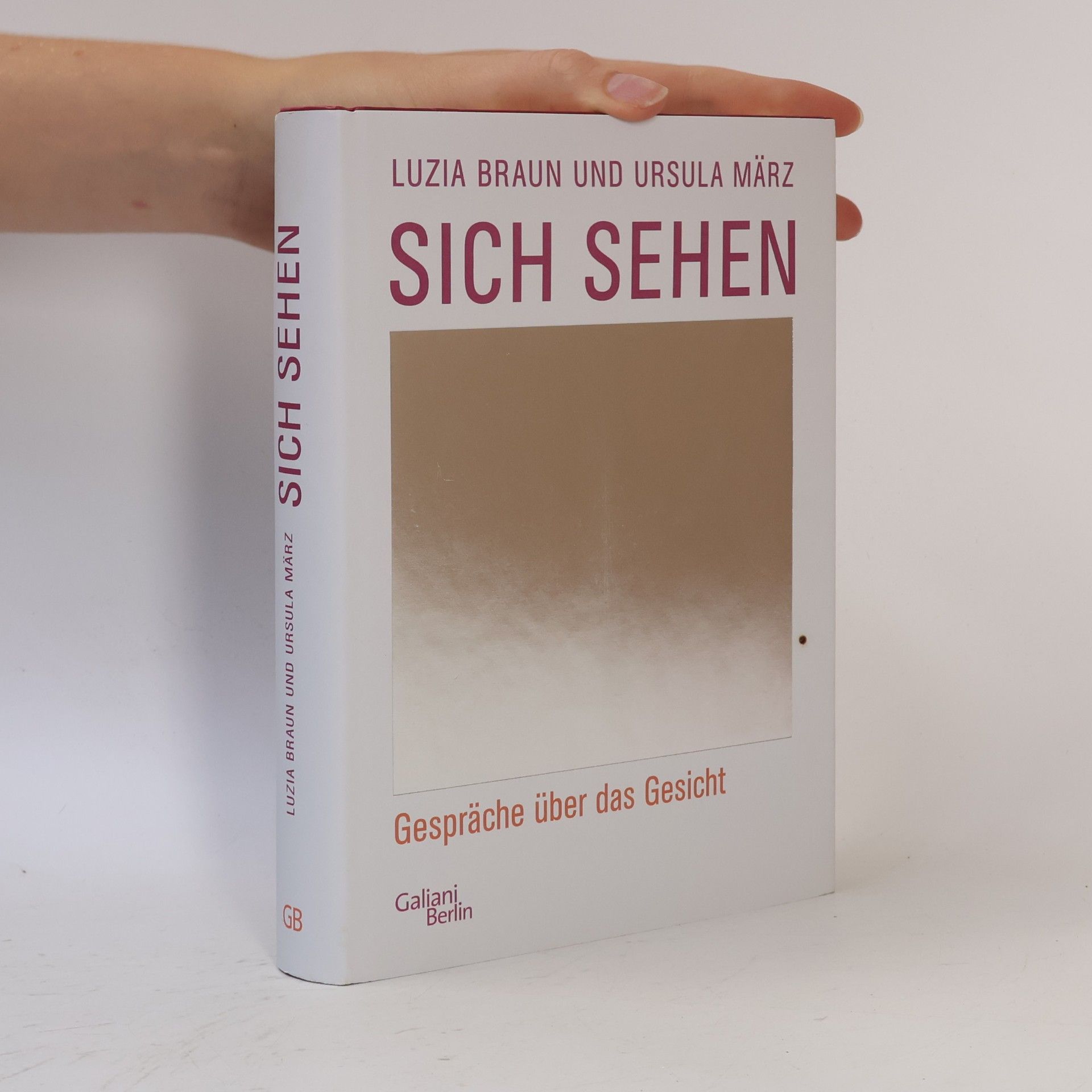 Luzia Braun Sich sehen. Gespräche über das Gesicht