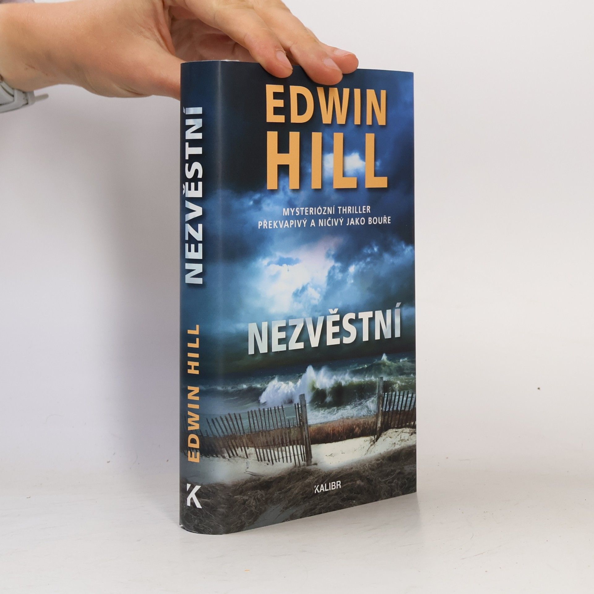 Edwin Hill Nezvěstní