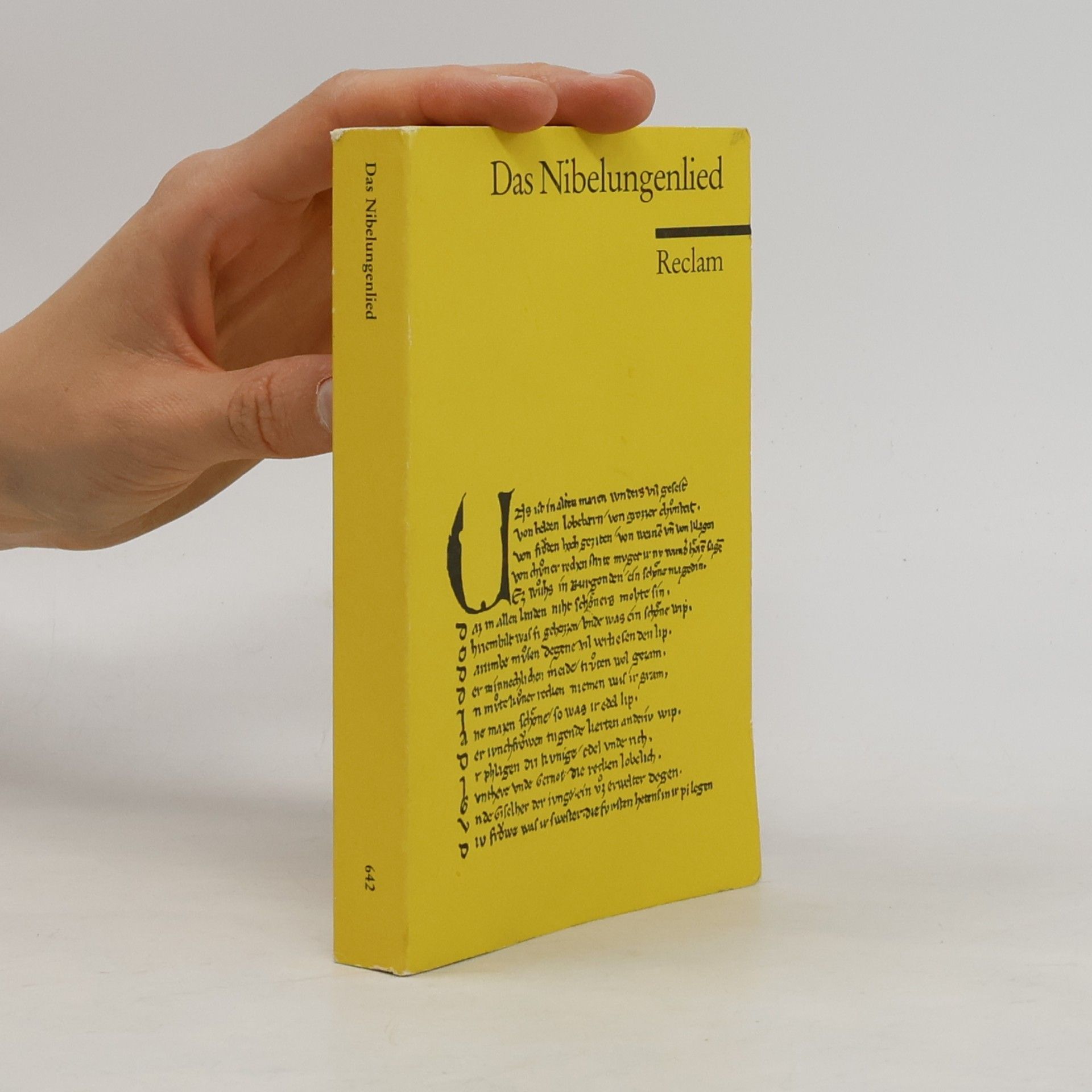 Auteurscollectief Das Nibelungenlied