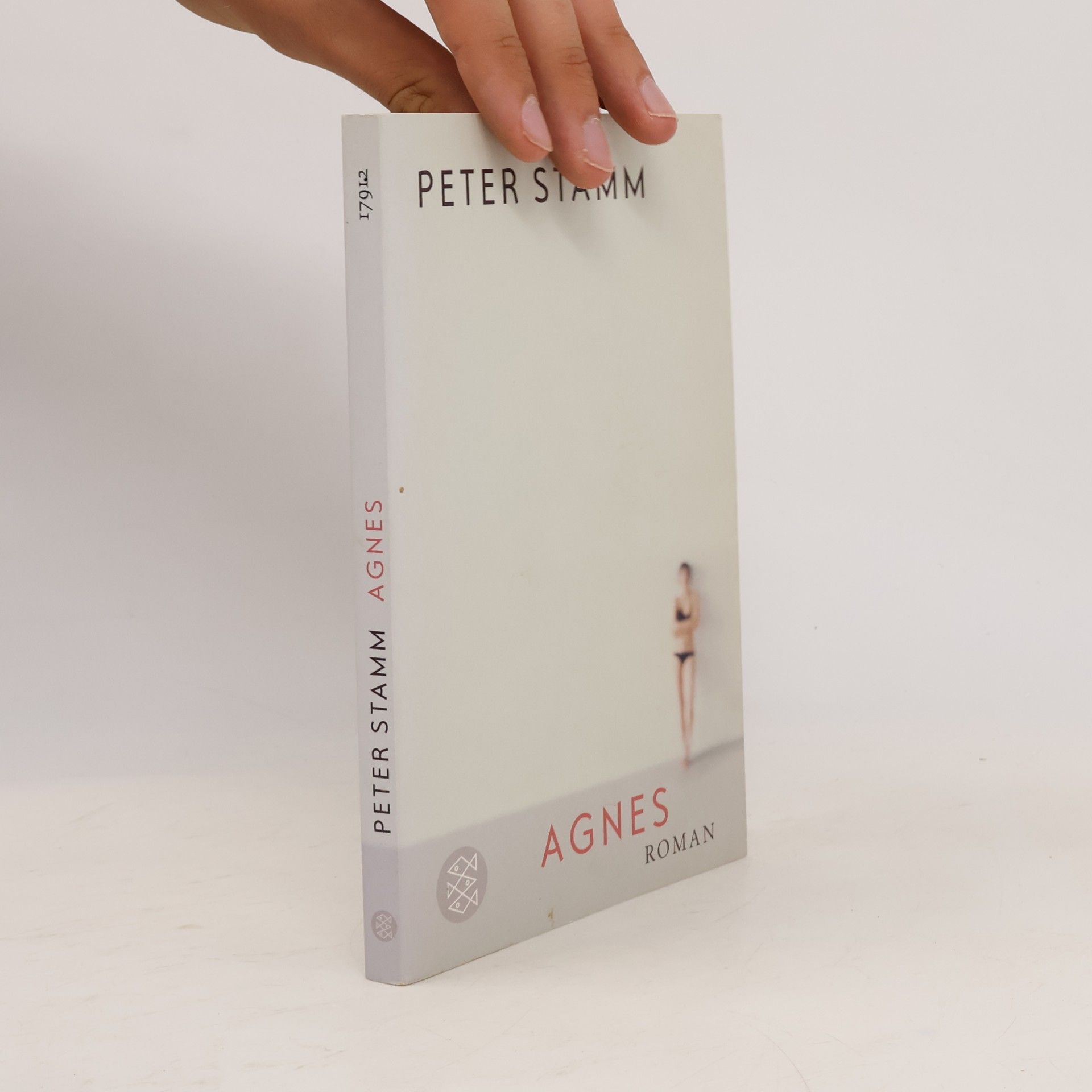 Peter Stamm Agnes