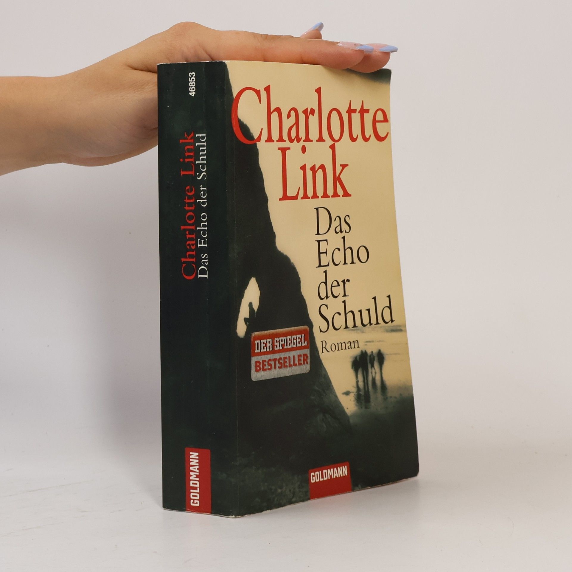 Charlotte Link Das Echo der Schuld