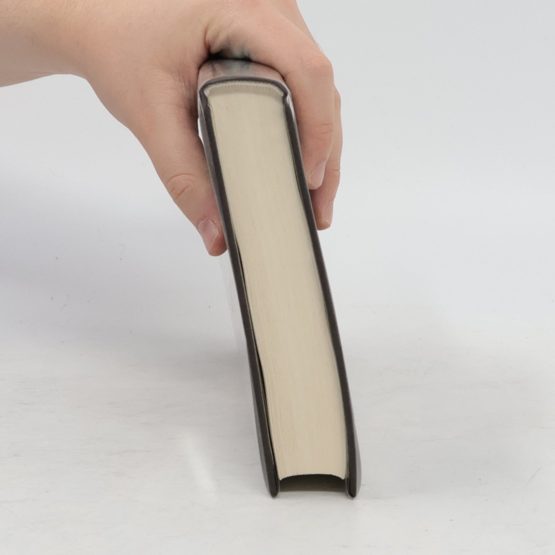 Peter Kurzeck Das Schwarze Buch