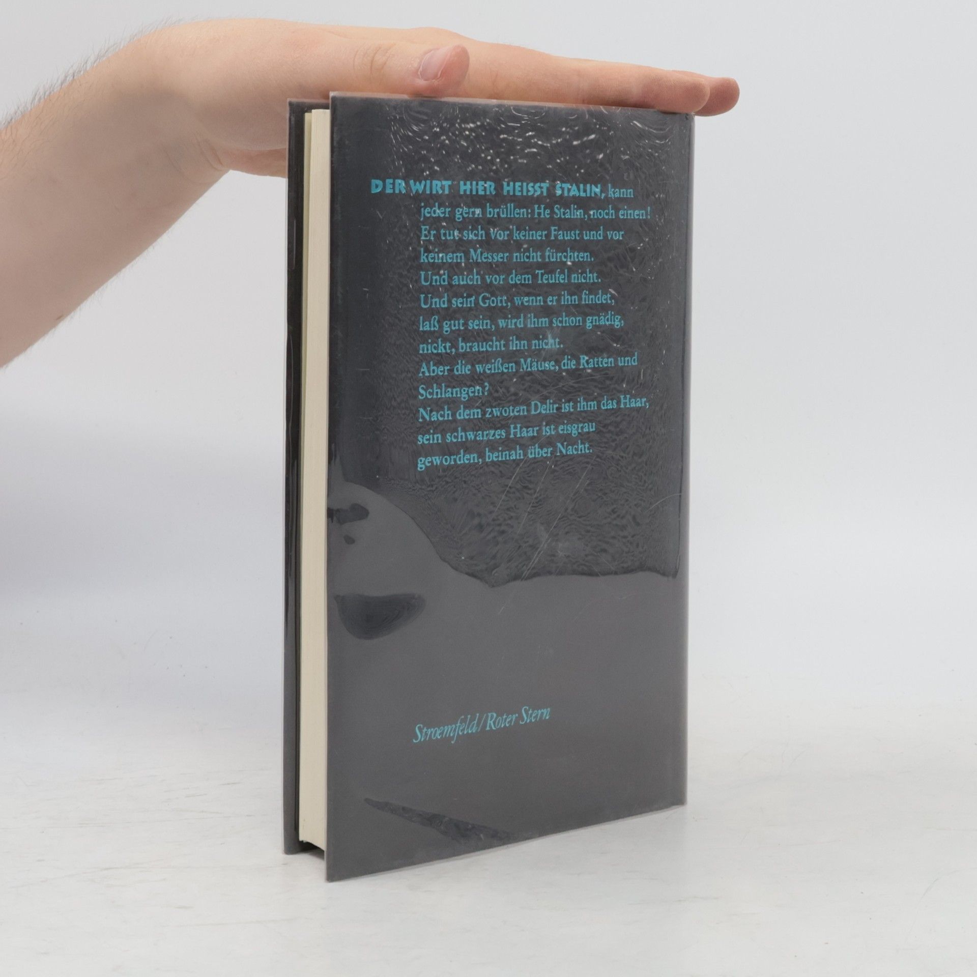 Peter Kurzeck Das Schwarze Buch
