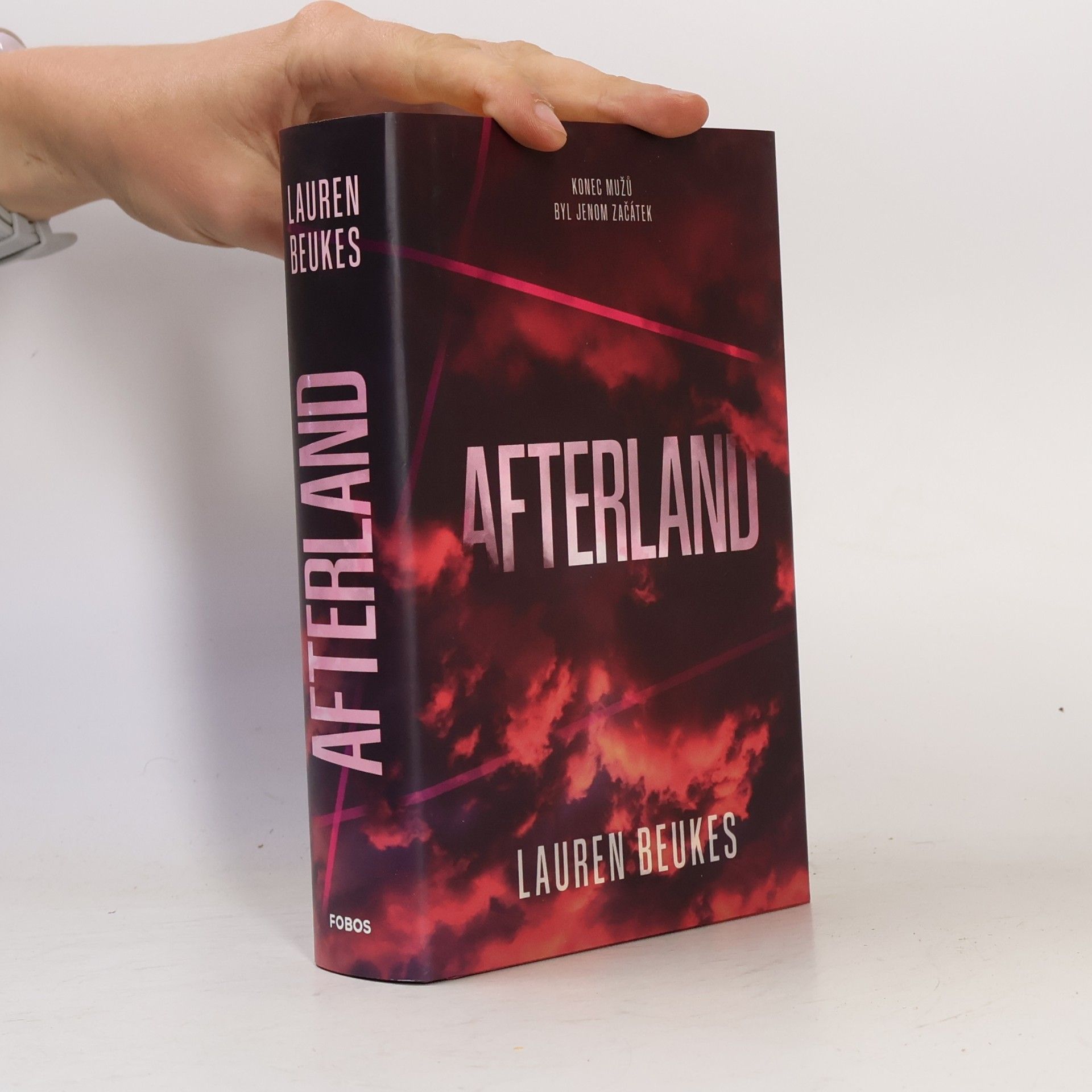 Lauren Beukes Afterland