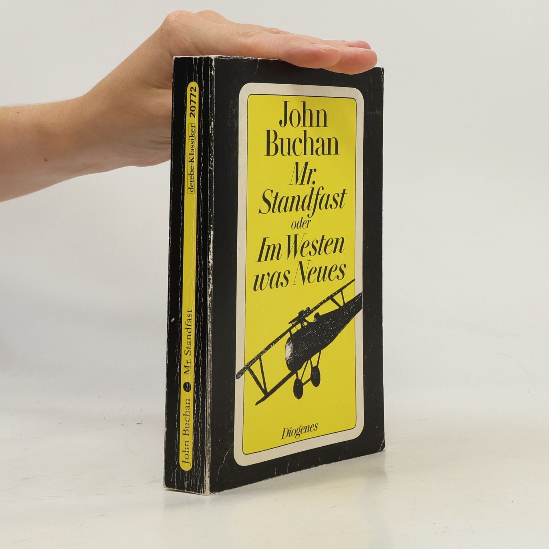 John Buchan Mr. Standfast oder im Westen was Neues