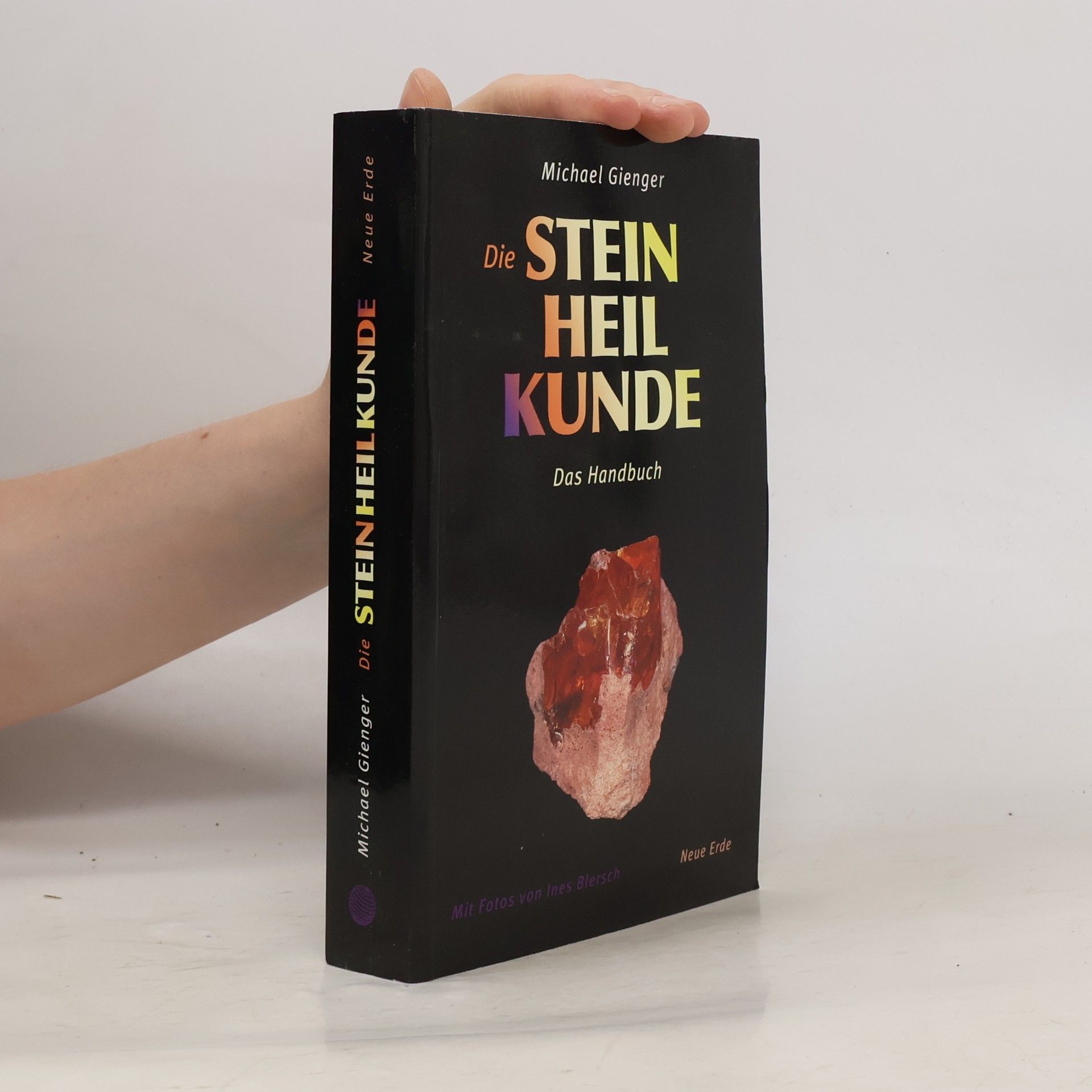 Michael Gienger Die Steinheilkunde