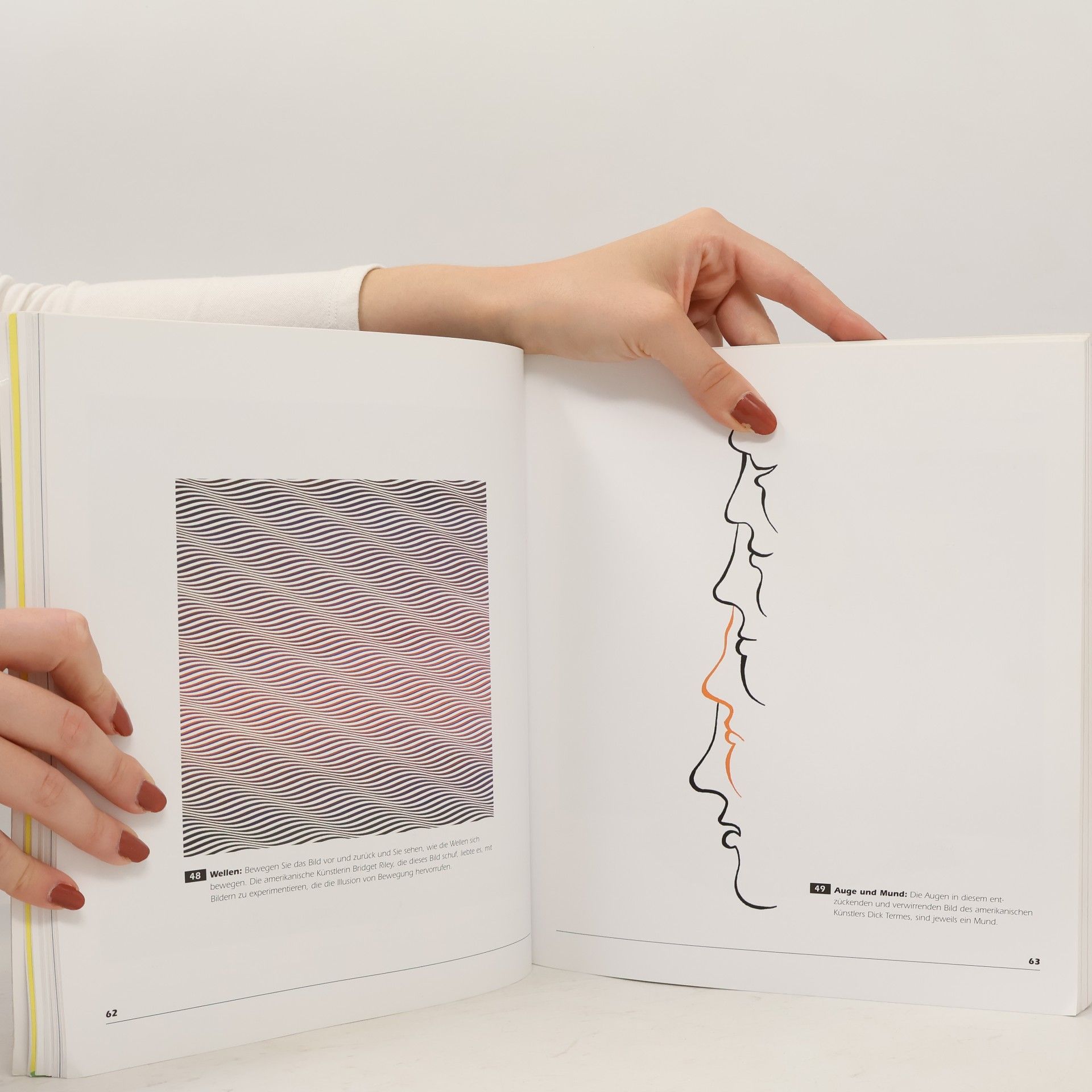 Al Seckel Meisterwerke der optischen Illusionen