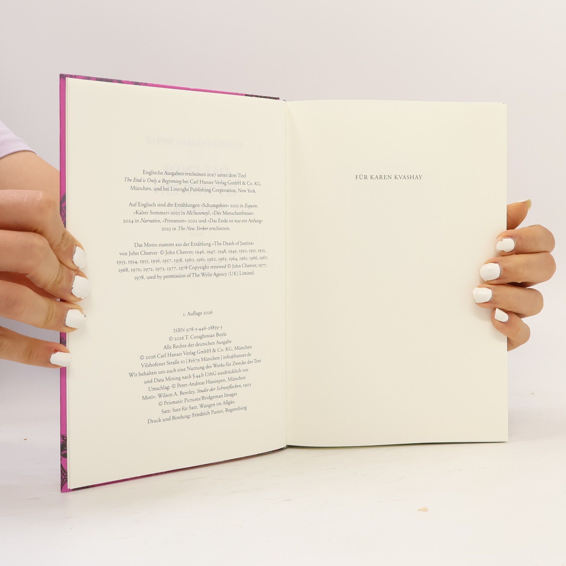 T. C. Boyle Das Ende ist nur ein Anfang: Storys