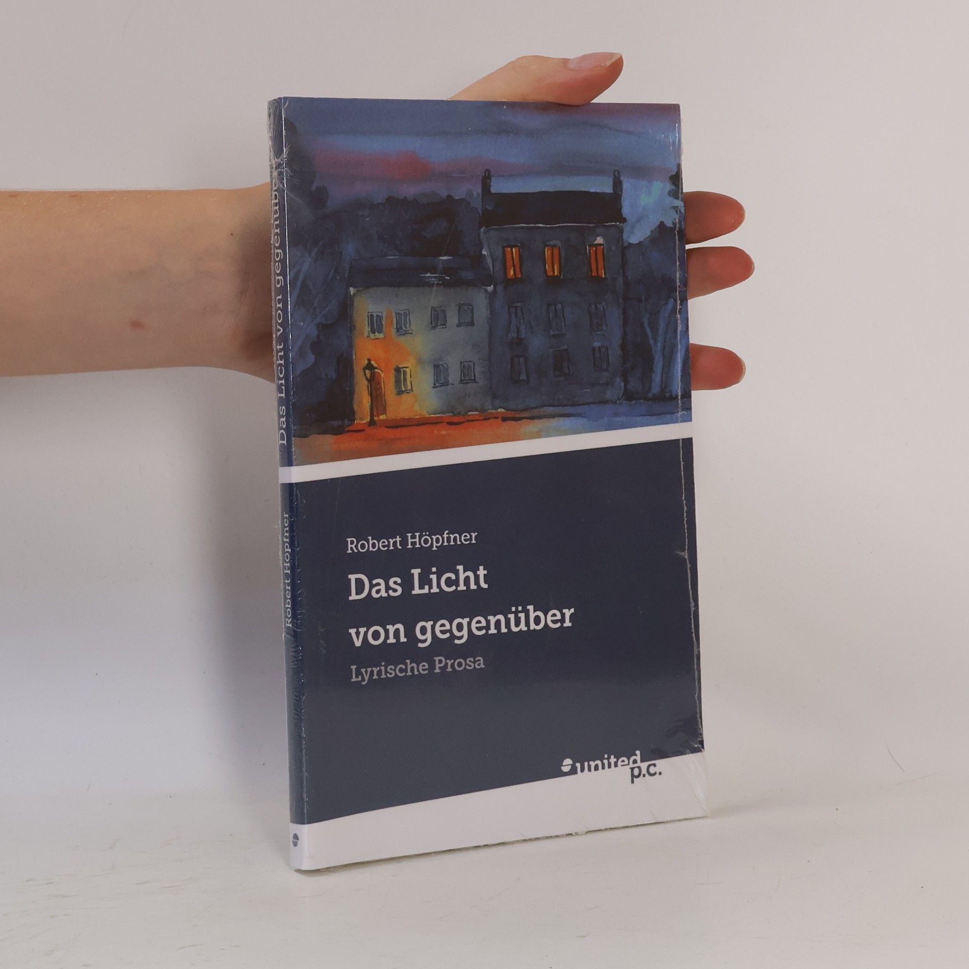 Robert Höpfner Das Licht von gegenüber
