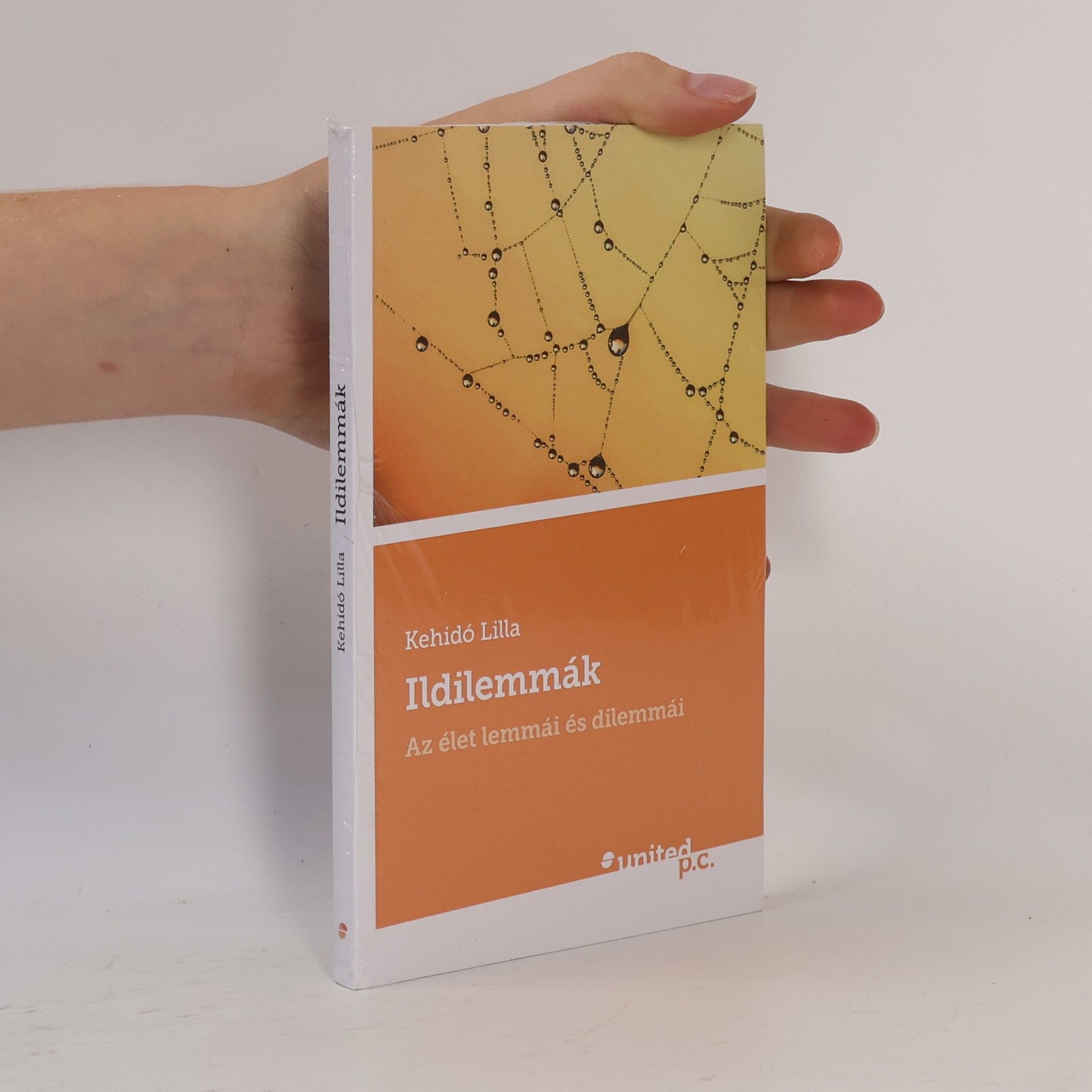 Kehidó Lilla Ildilemmák