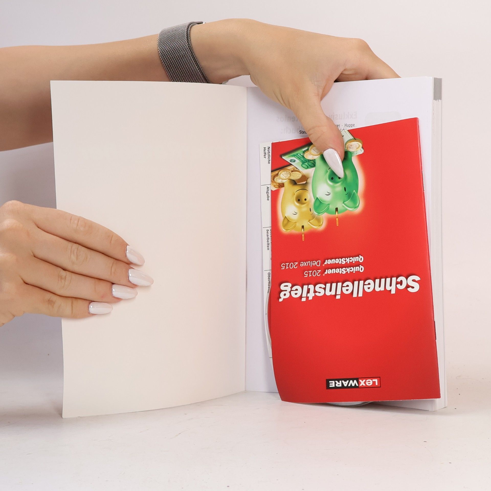 Autorenkollektiv Steuerratgeber