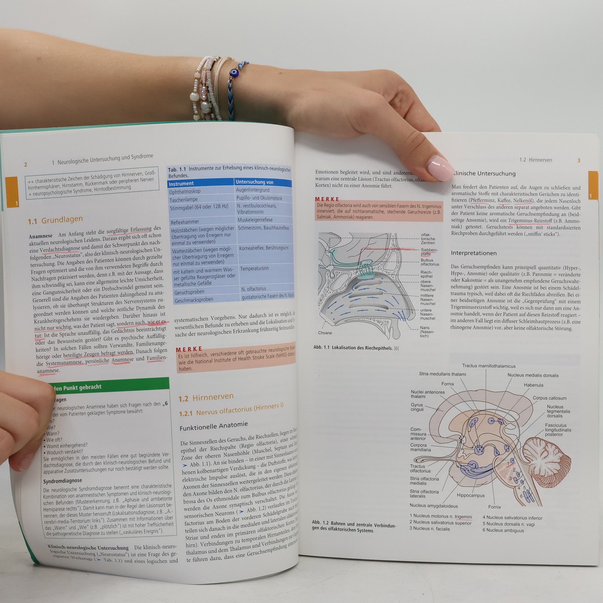 Matthias Sitzer Lehrbuch Neurologie