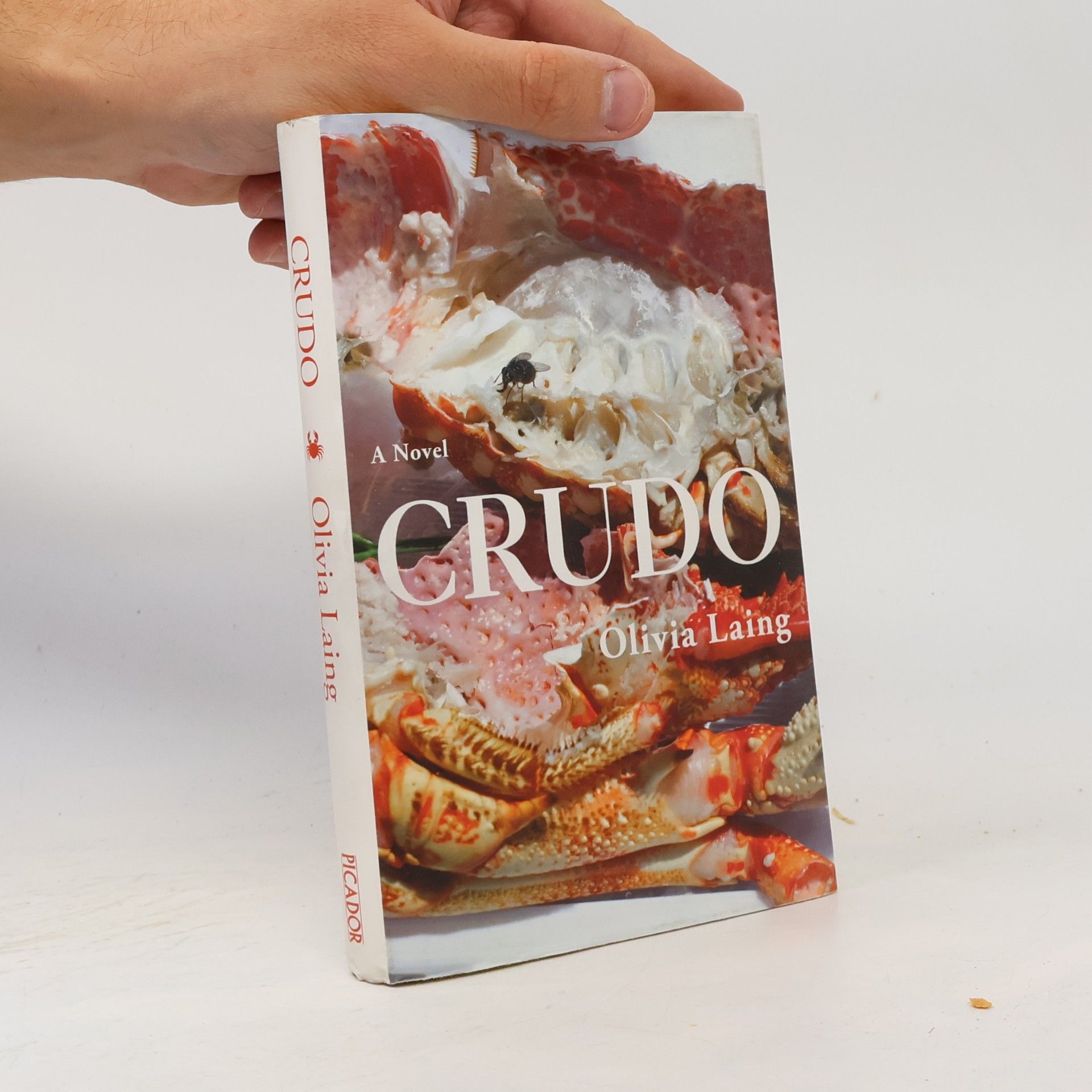 Olivia Laing Crudo