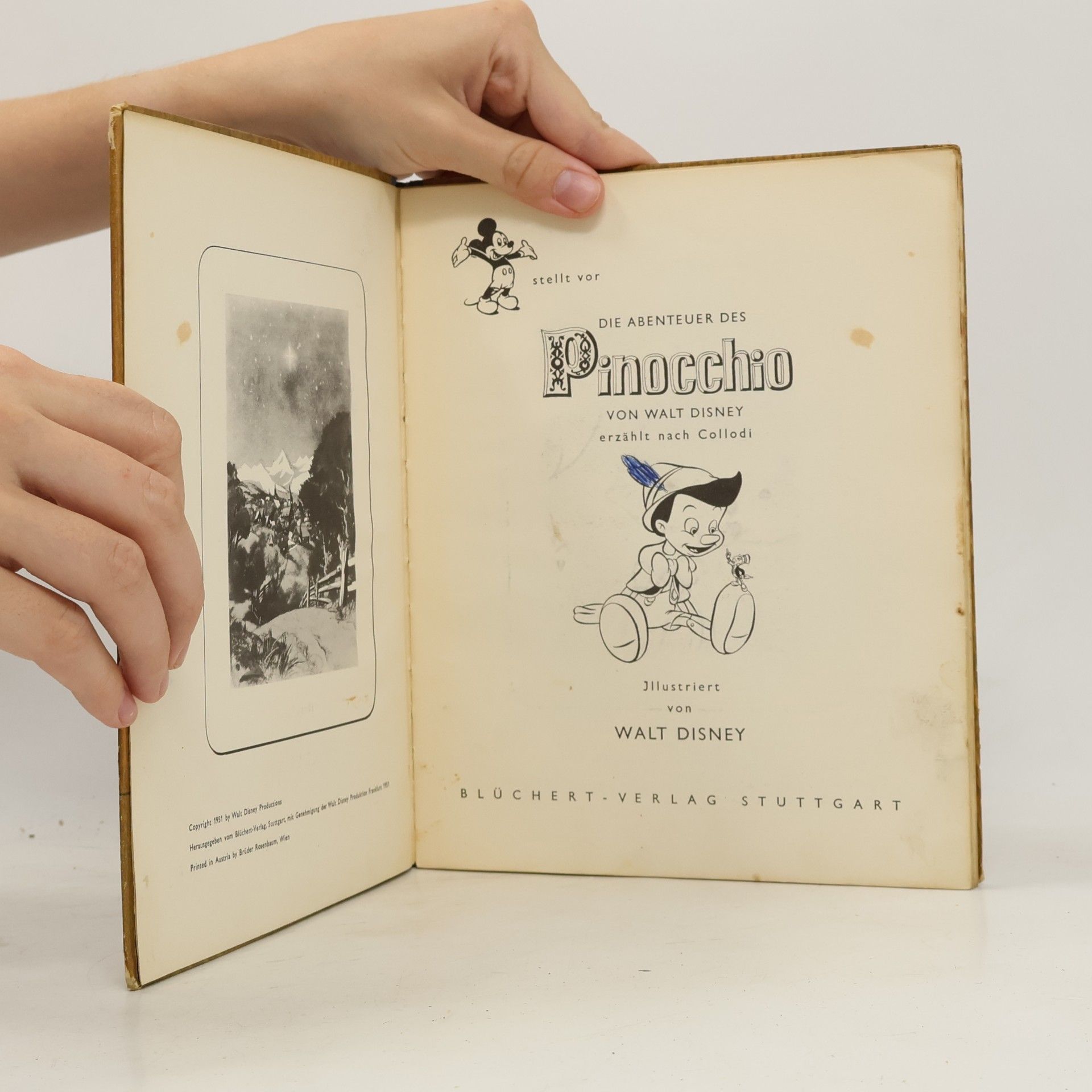 Autorenkollektiv Die Abenteuer des Pinocchio von Walt Disney