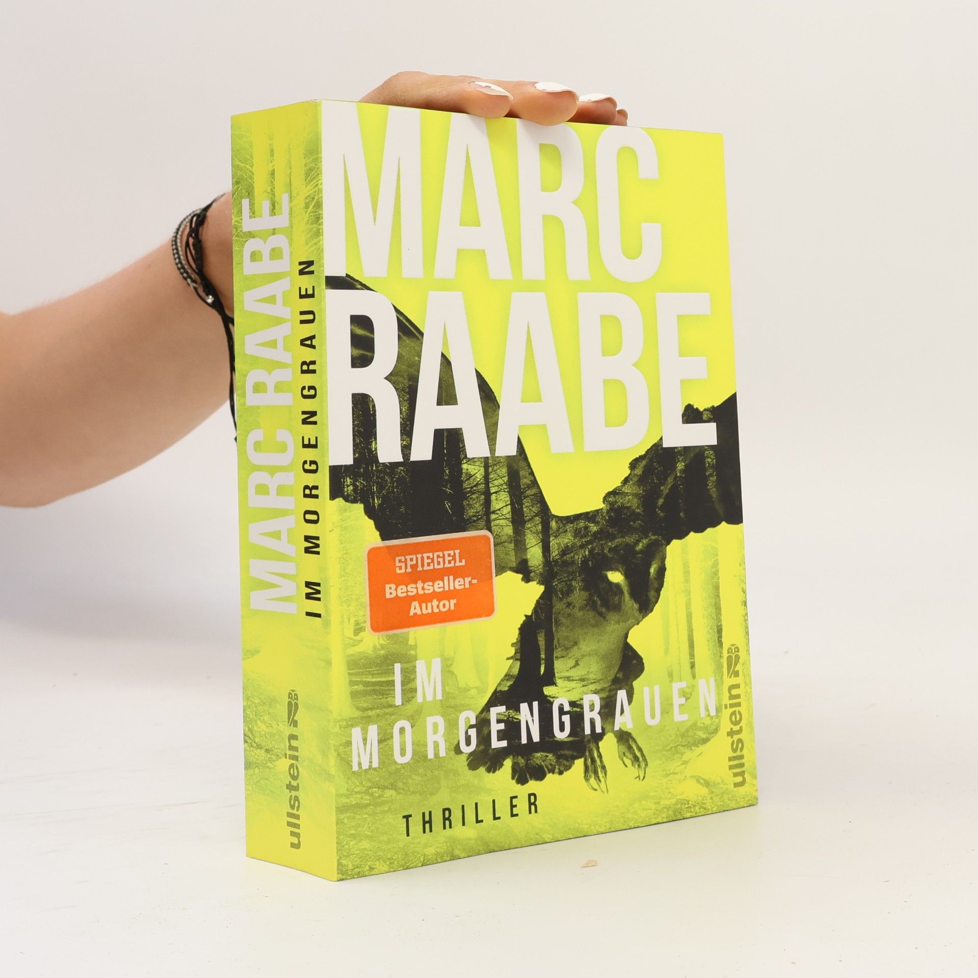 Marc Raabe Art Mayer-Serie - 4: Im Morgengrauen