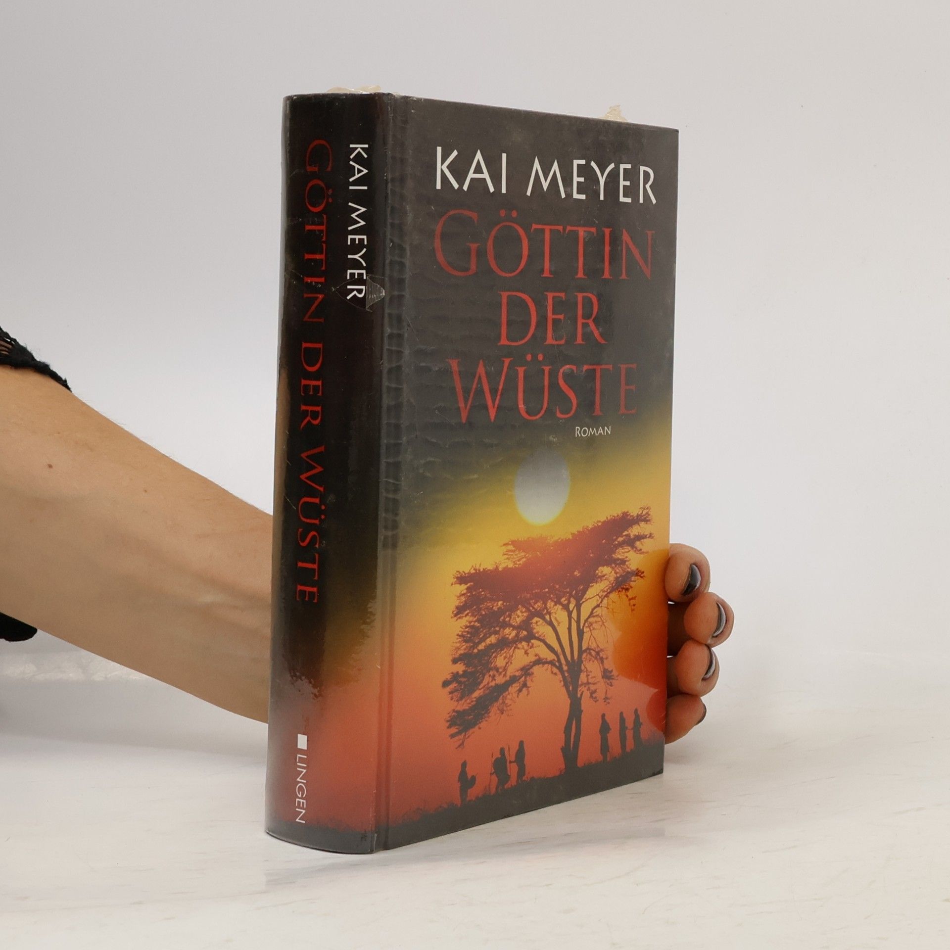 Kai Meyer Göttin der Wüste