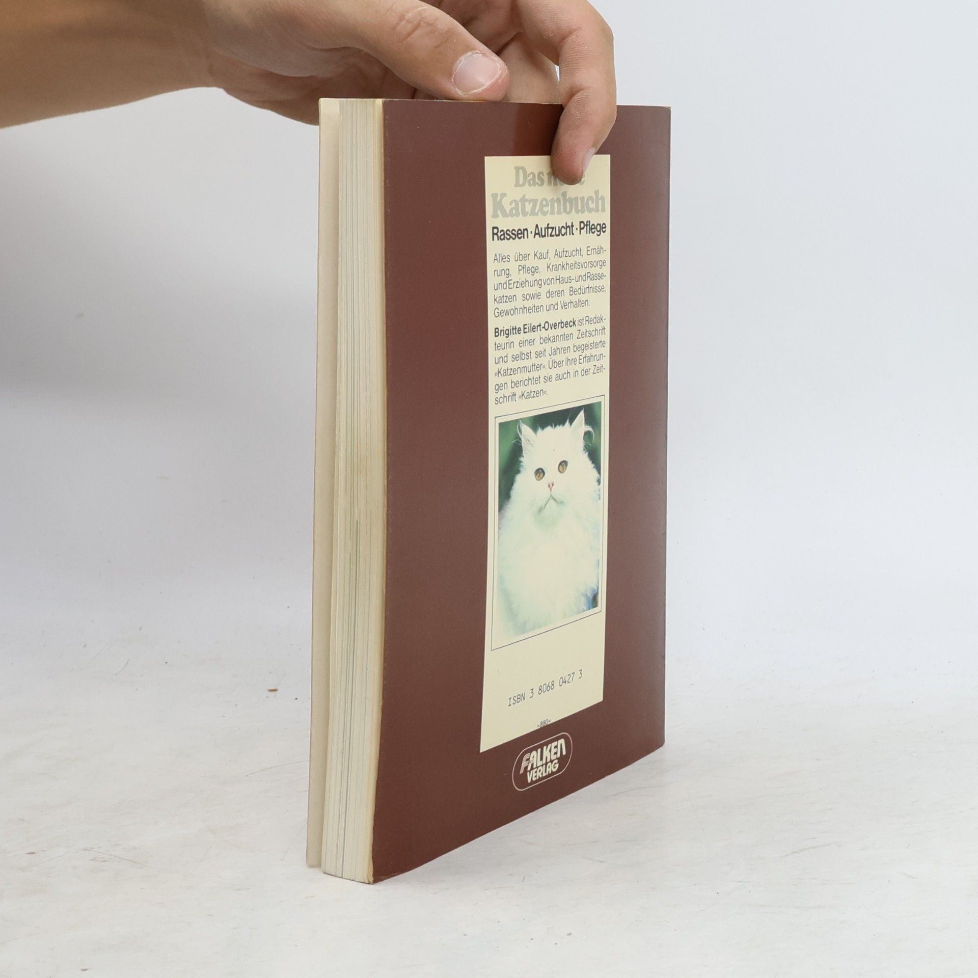 Brigitte EilertOverbeck Das neue Katzenbuch