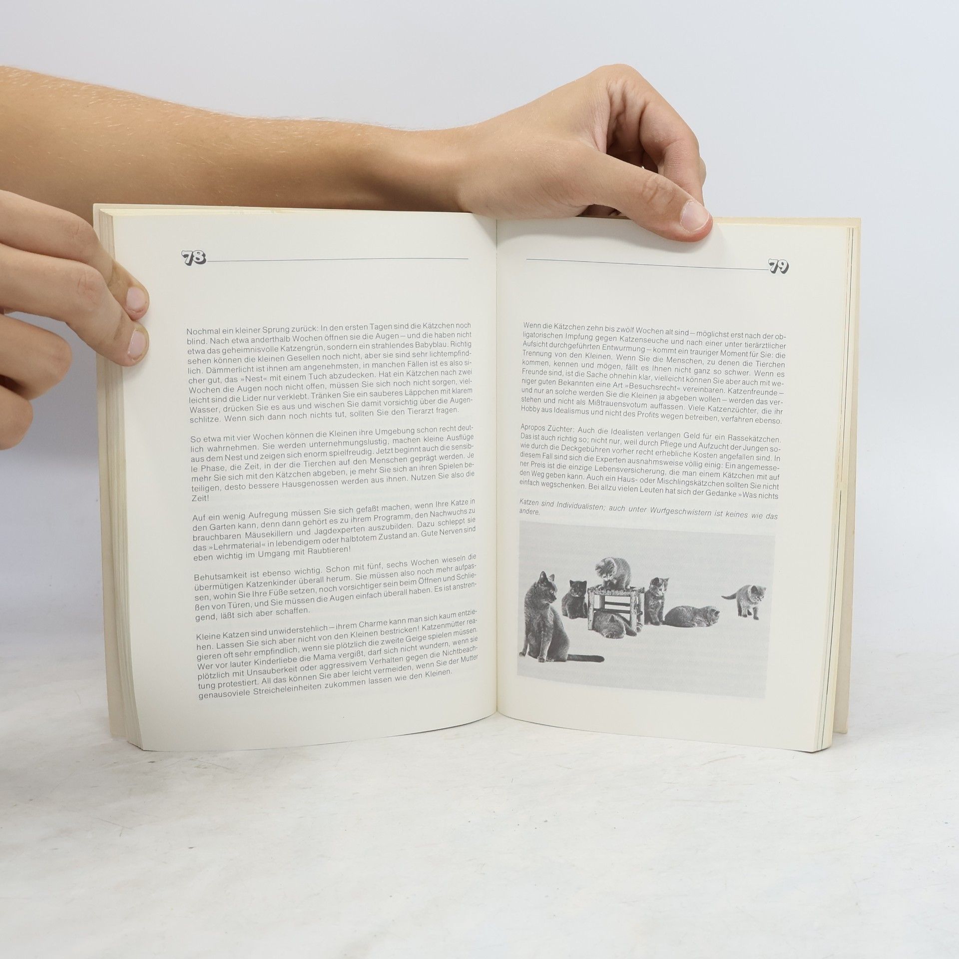 Brigitte EilertOverbeck Das neue Katzenbuch