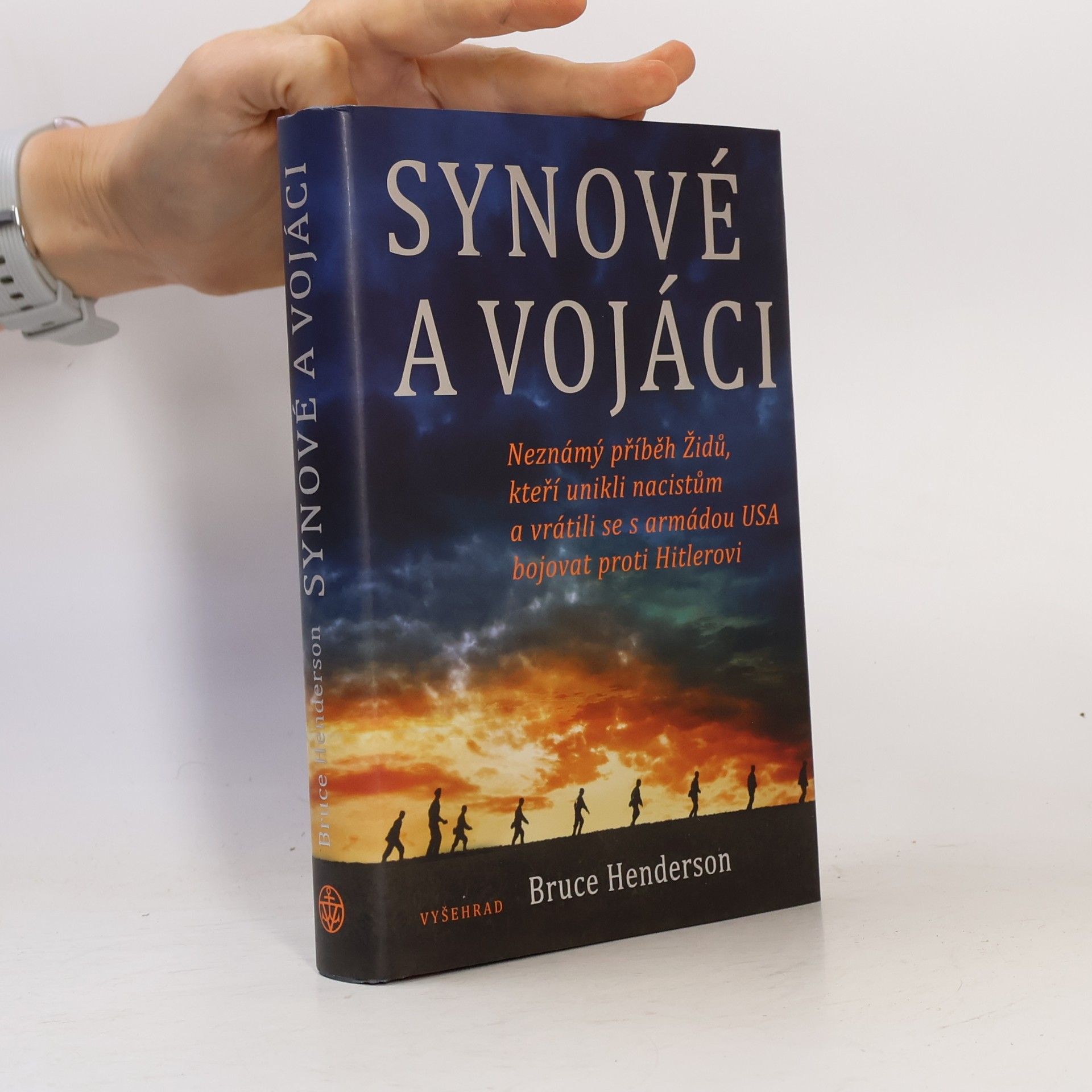 Bruce Henderson Synové a vojáci
