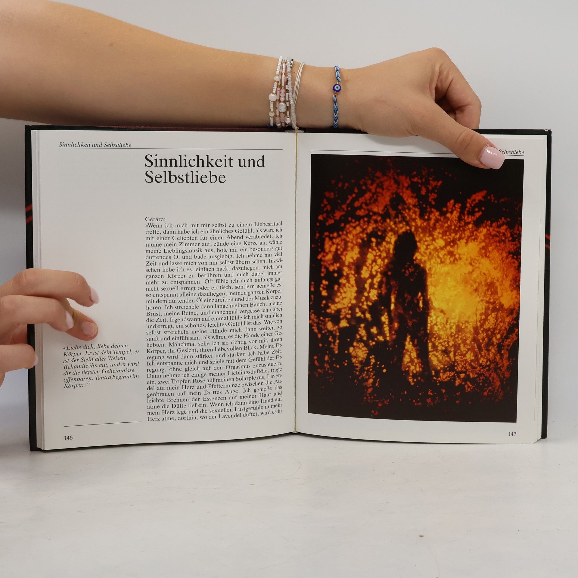Sunito M. Plesse Feuer der Sinnlichkeit - Edition 2000