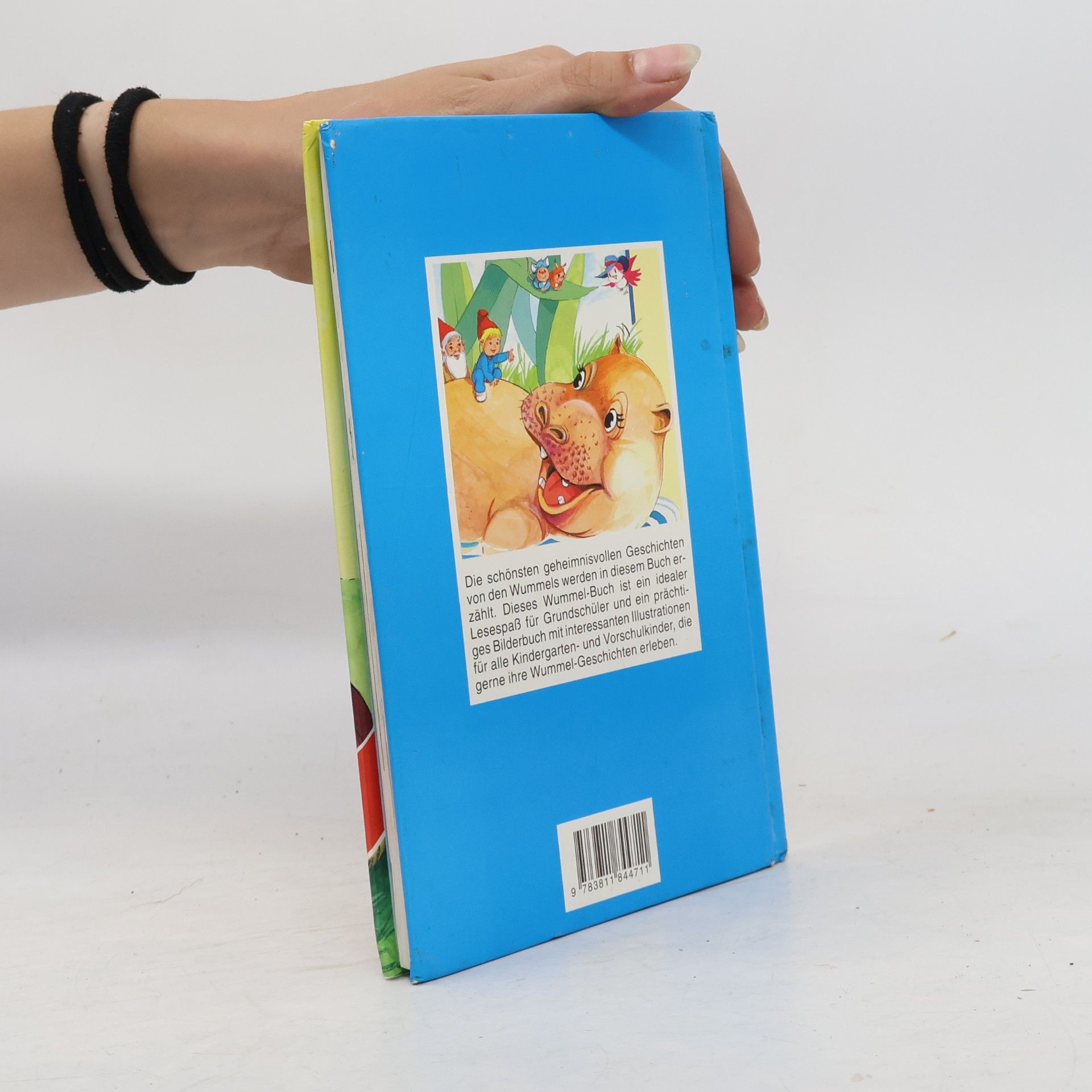 Rolf Kauka Bussi-Bär-Kinderbibliothek. Geheimnisse und Wunder im Wummel-Wald