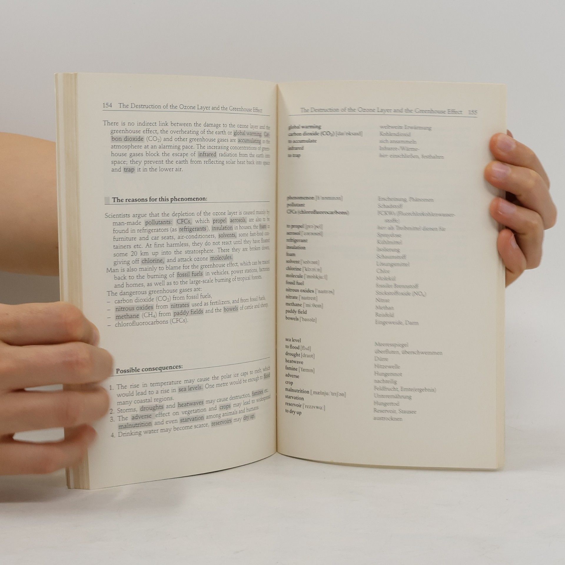 Bernhard Knop Words in context