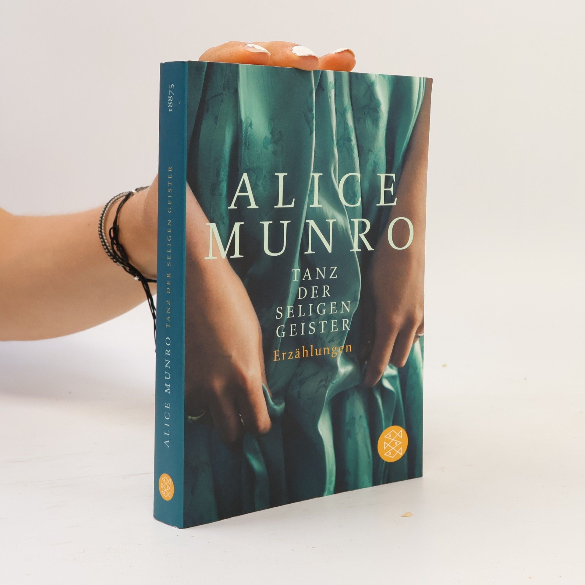 Alice Munro Tanz der seligen Geister