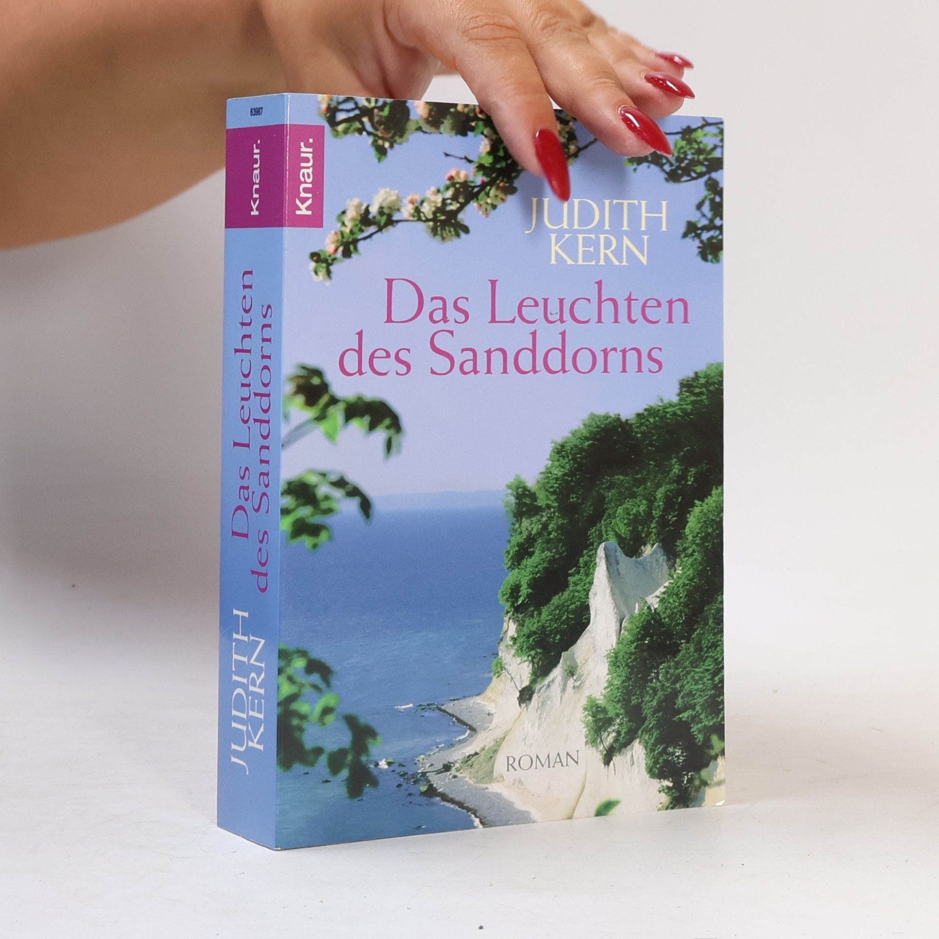 Judith Kern Das Leuchten des Sanddorns