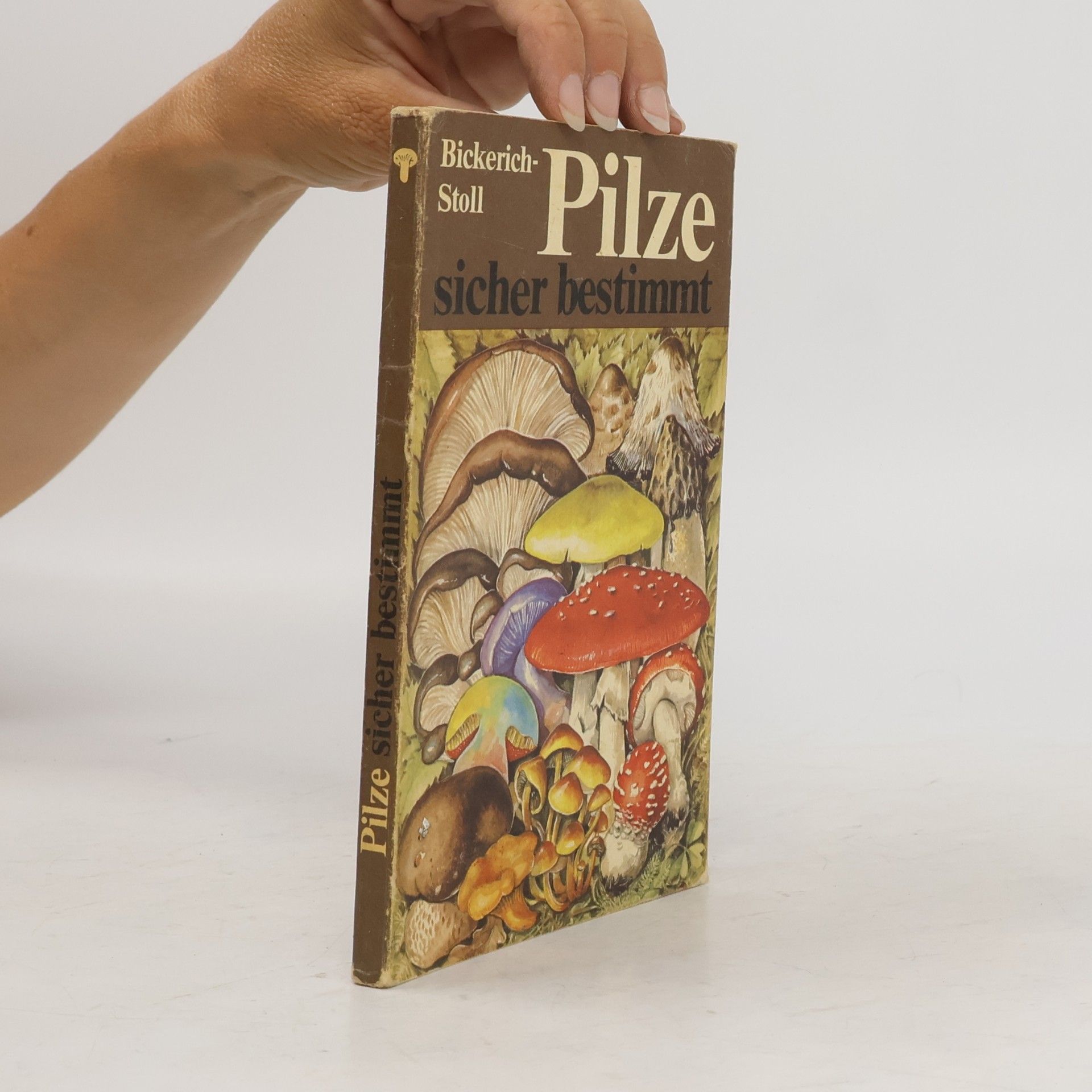 Katharina Bickerich Stoll Pilze sicher bestimmt